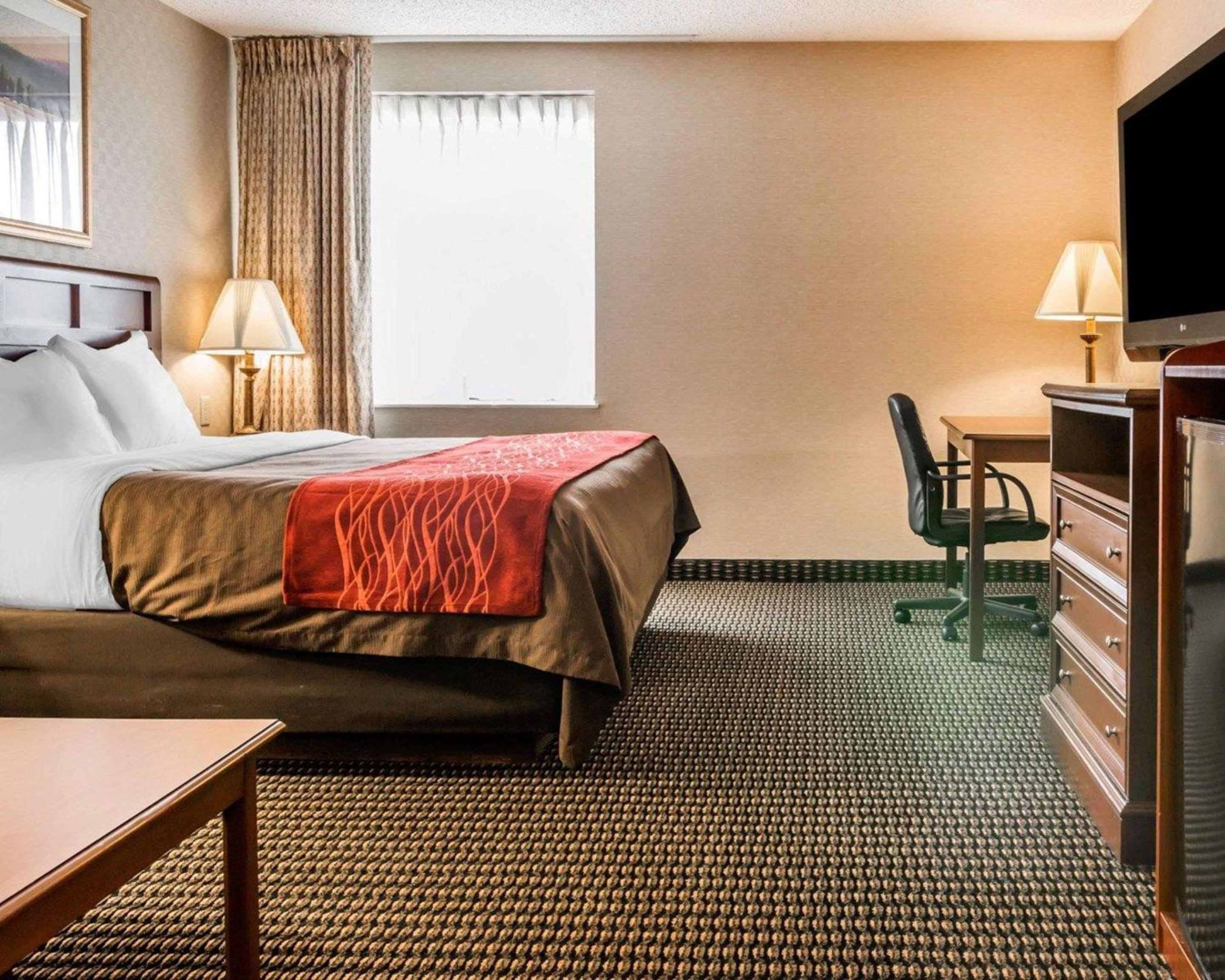 Premium King Room photo 3
