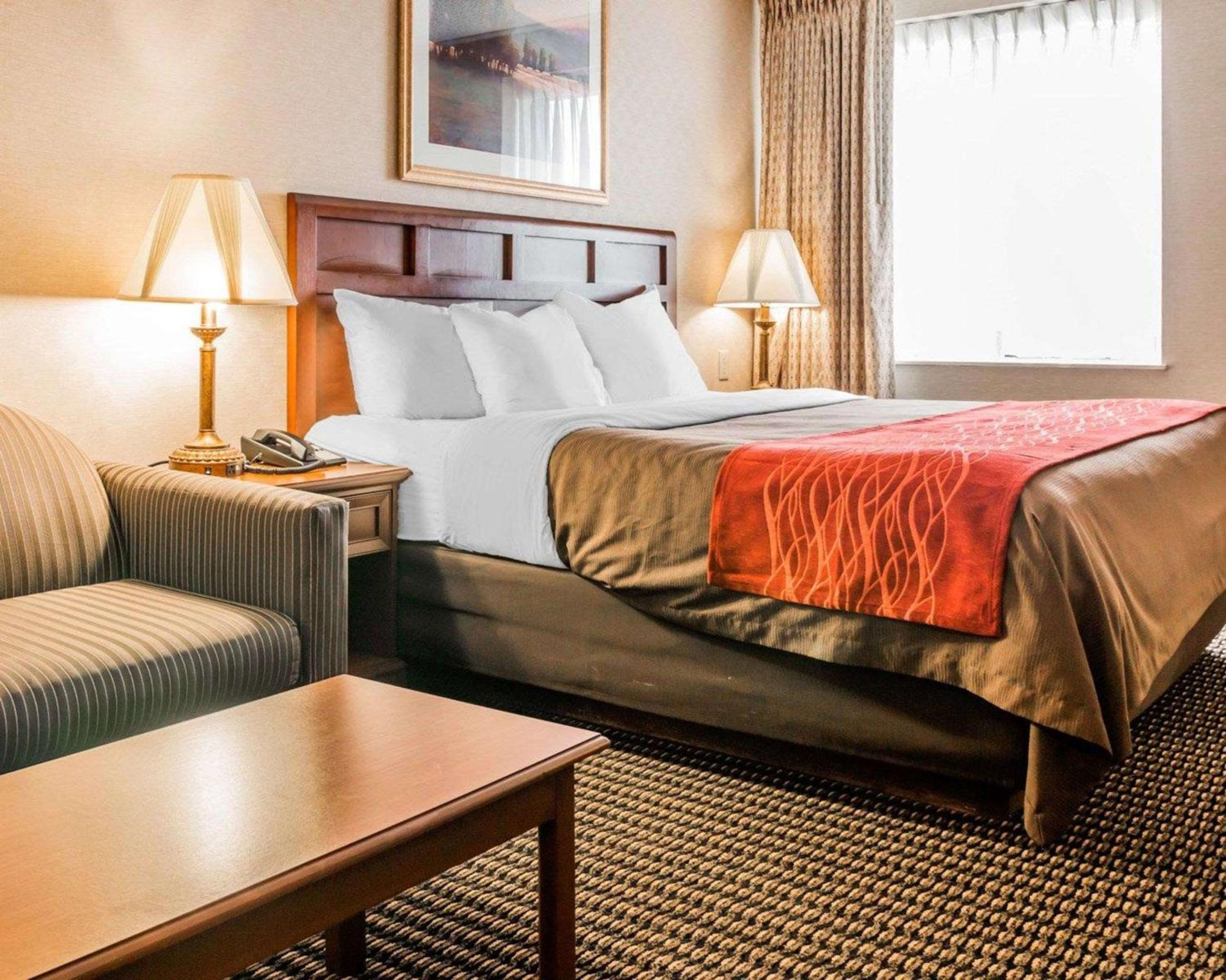 Premium King Room photo 2