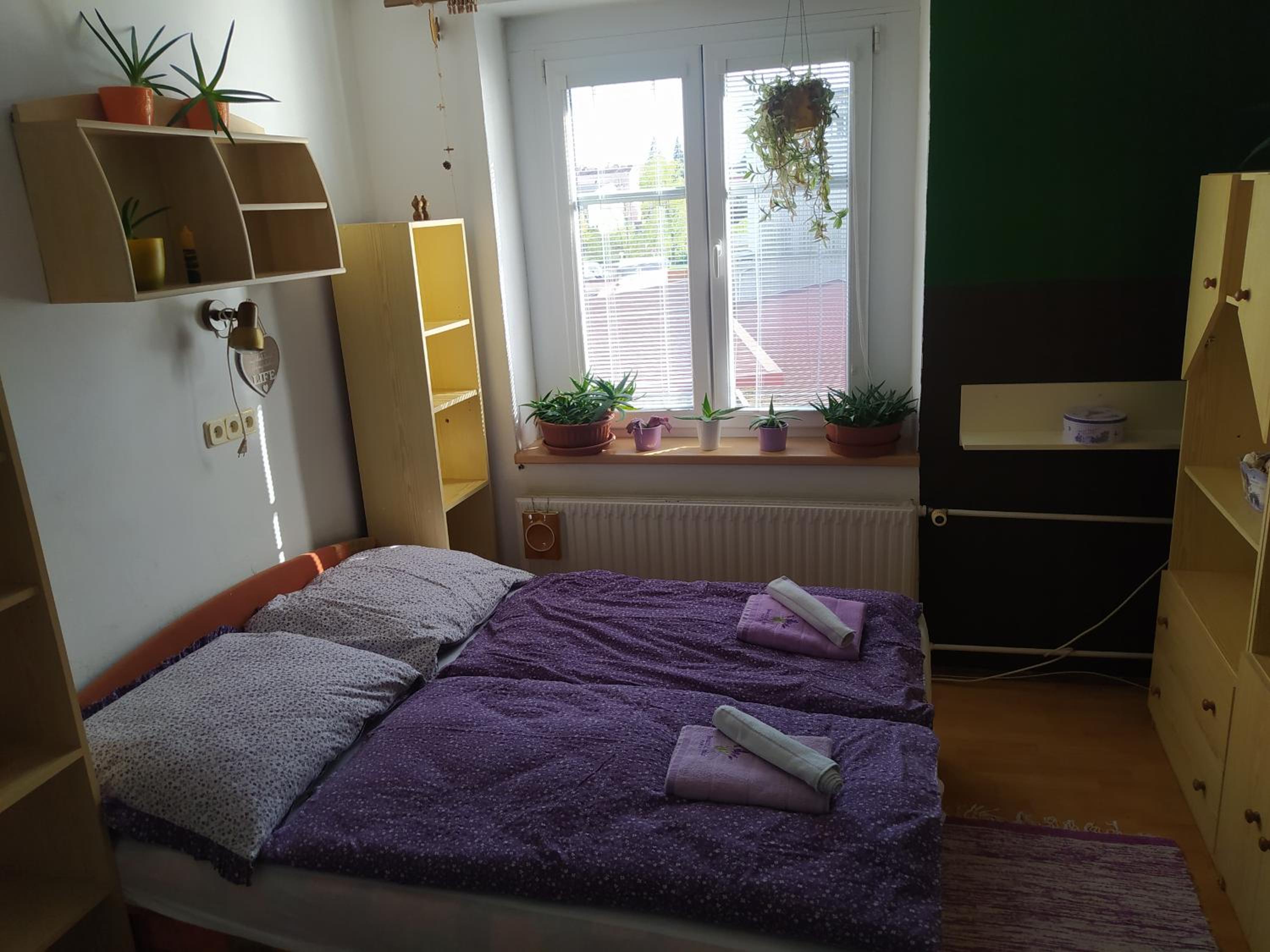 Apartment - Photo 6