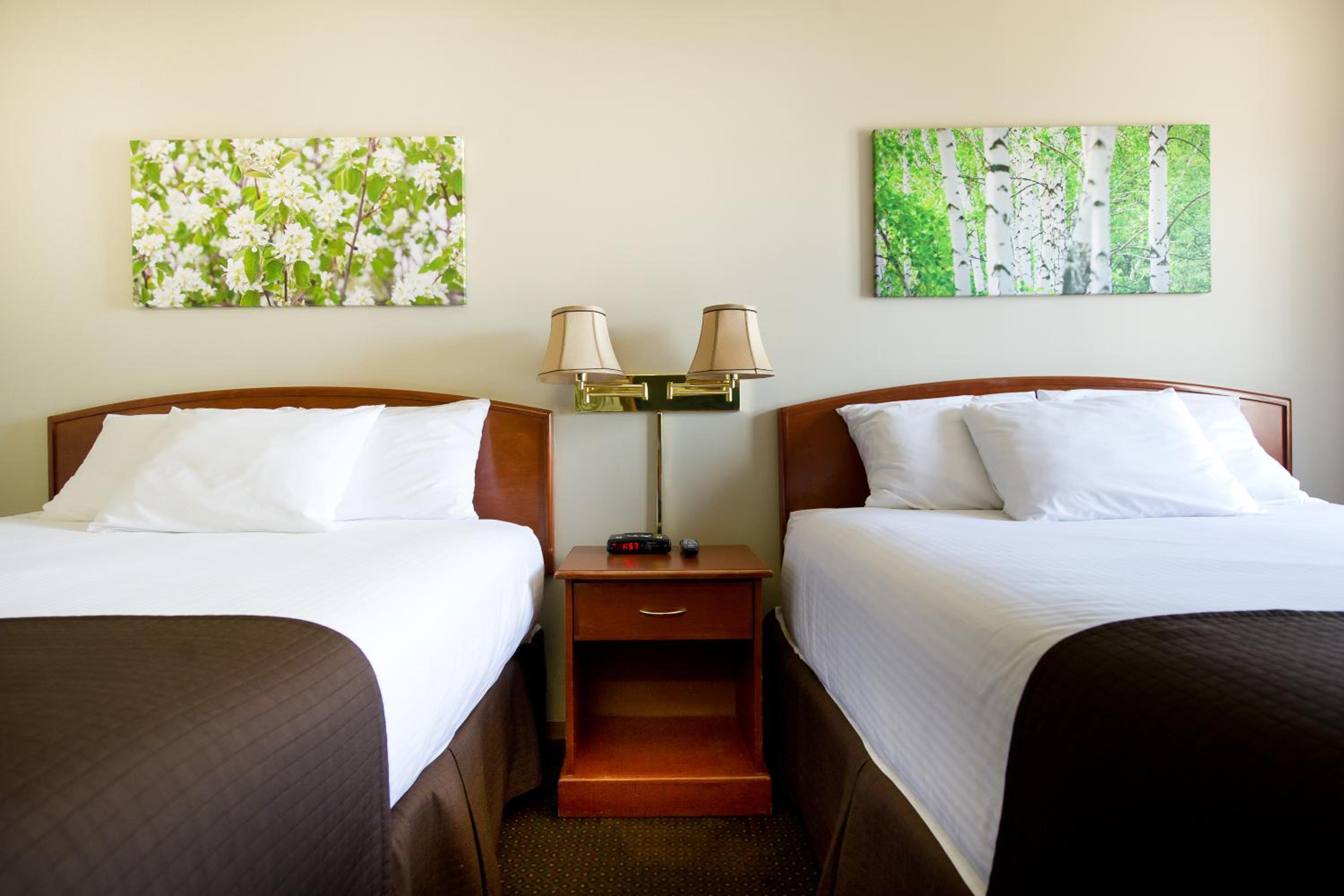 Queen Room with Two Queen Beds photo 3