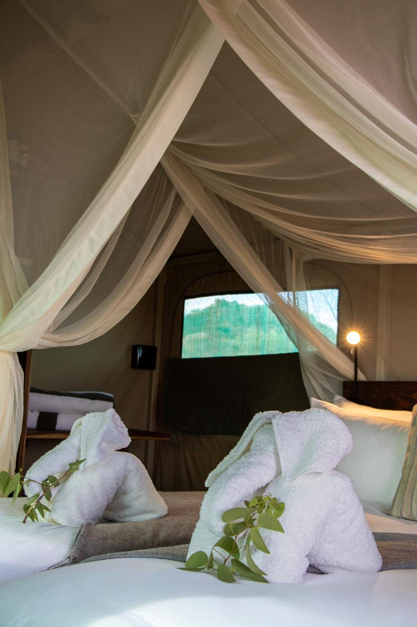 Standard Tent photo 2