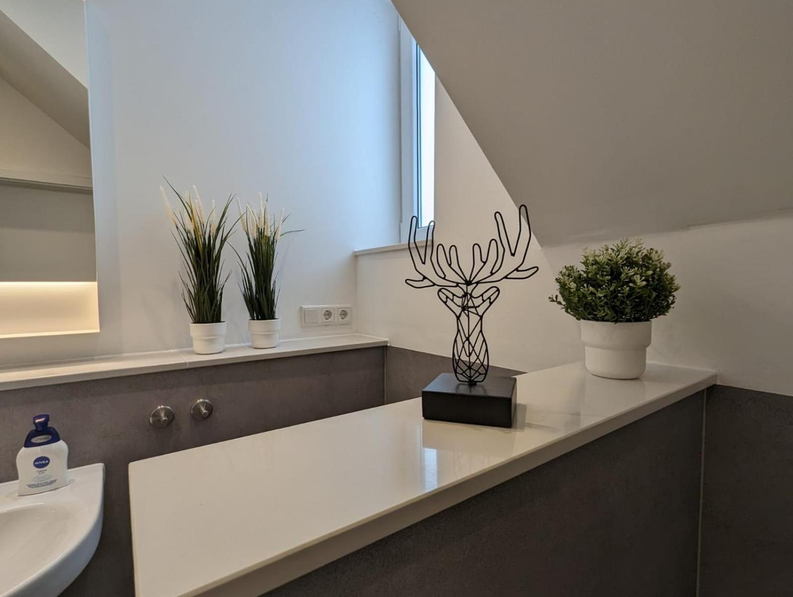 Comfort Apartment photo 2