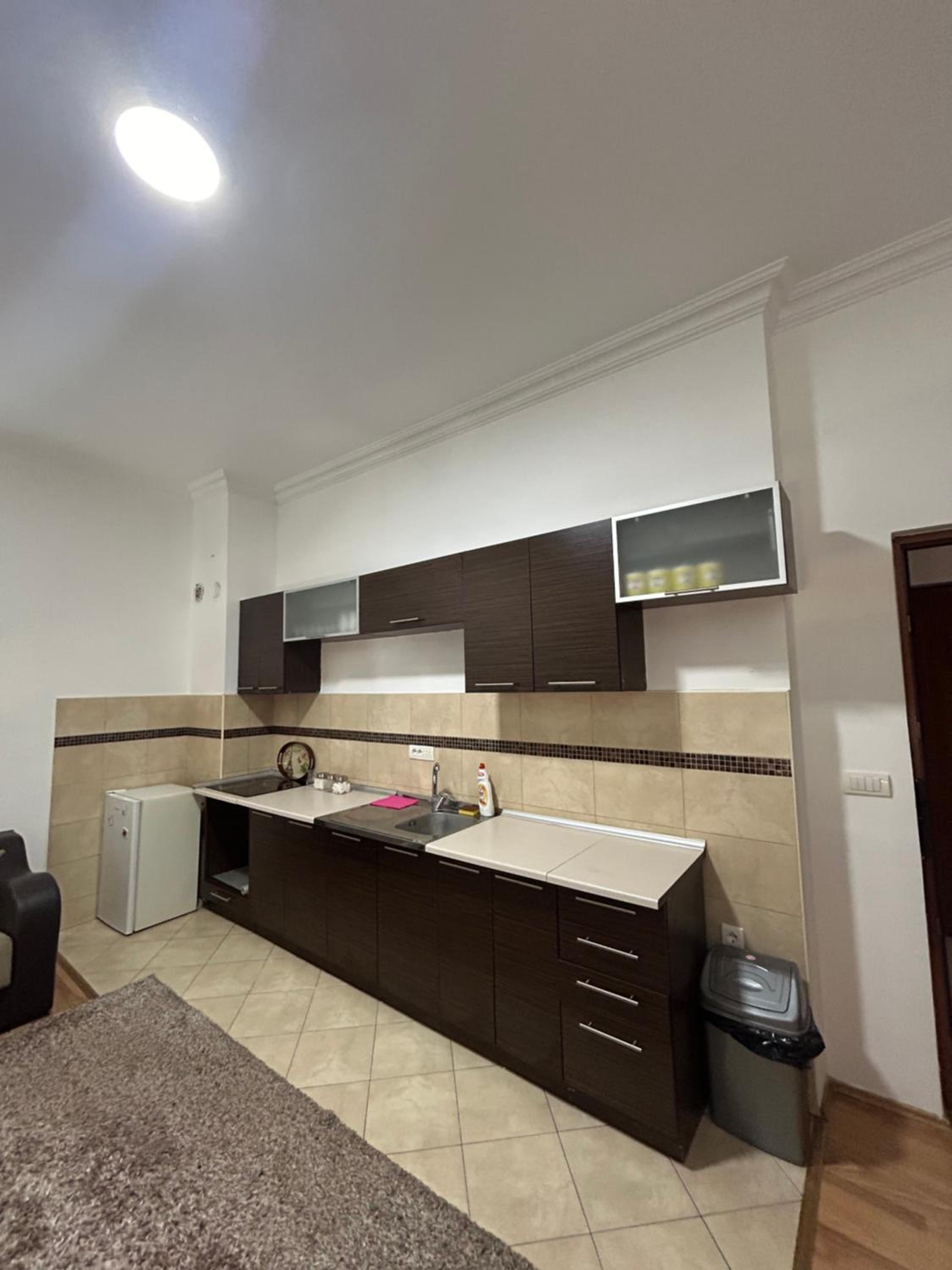 One-Bedroom Apartment photo 2