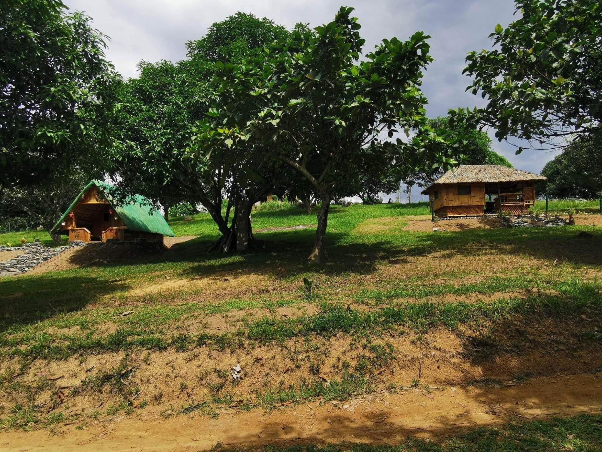 Triple Room with Garden View photo 3