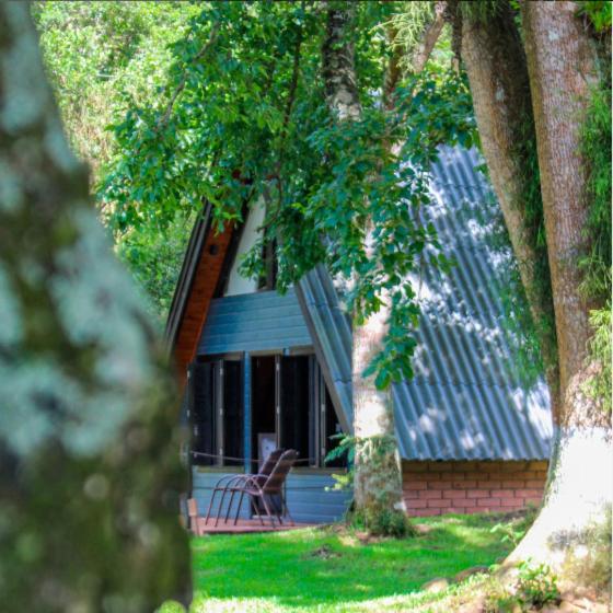 Chalet photo 2