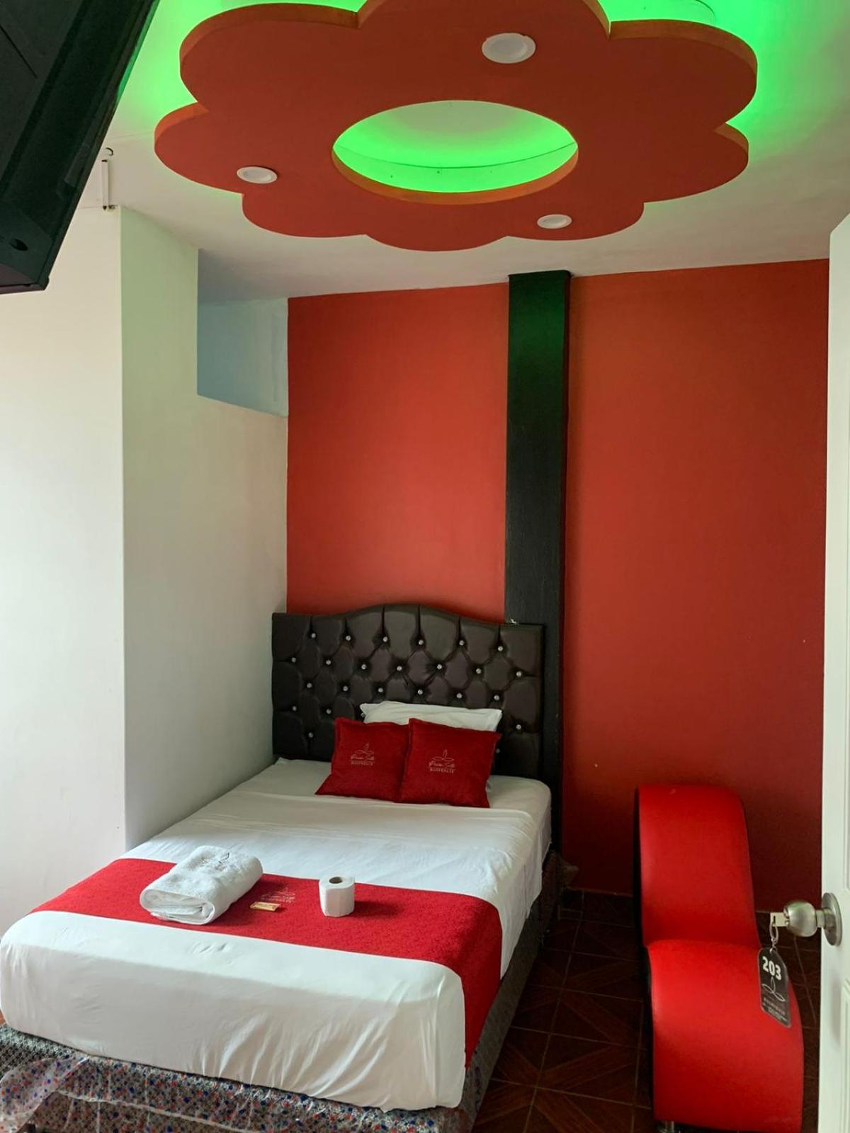 Single Room photo 1