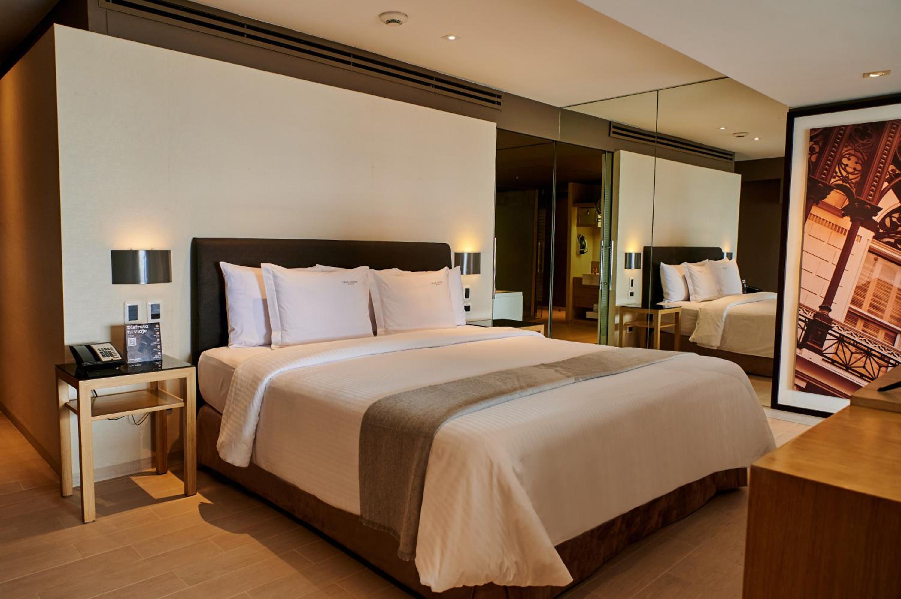 Suite - Photo 1