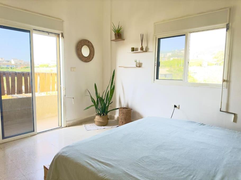 Two-Bedroom Apartment photo 3