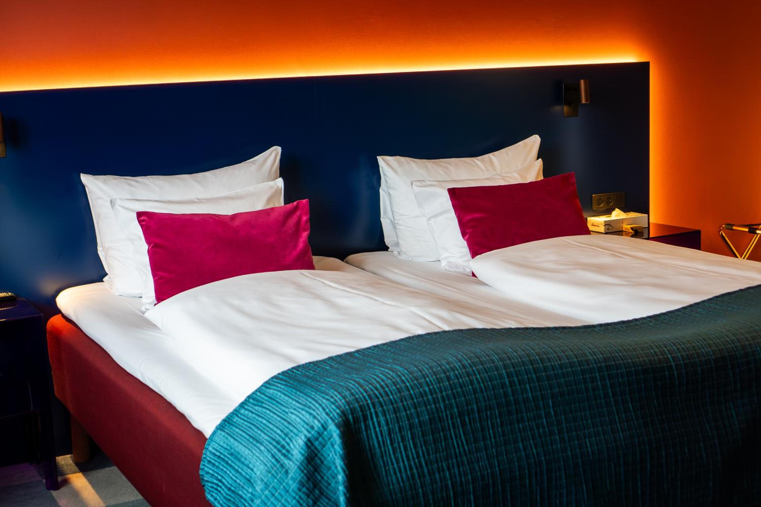 Suite - Photo 1