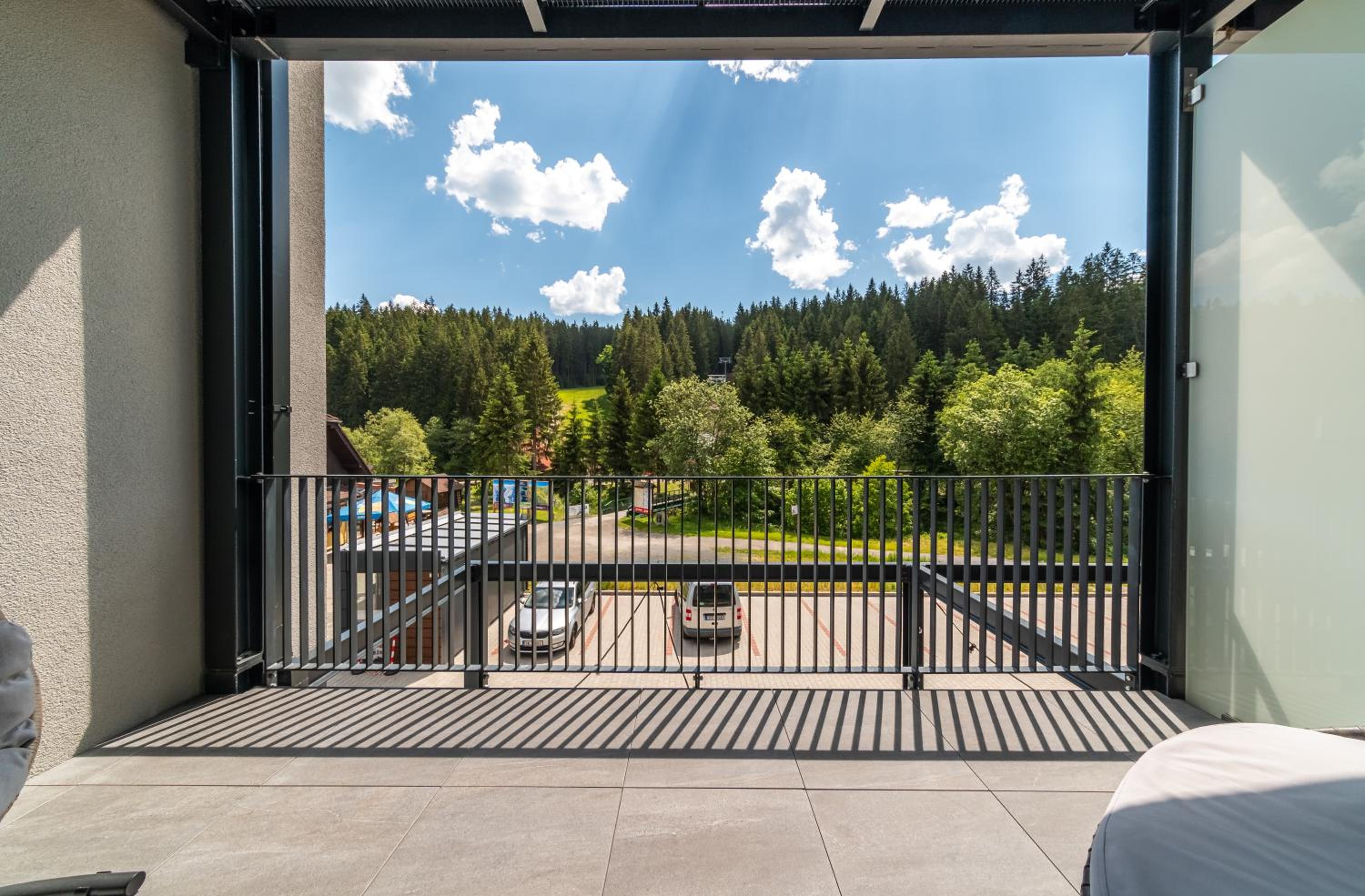 Family Room with Terrace photo 3