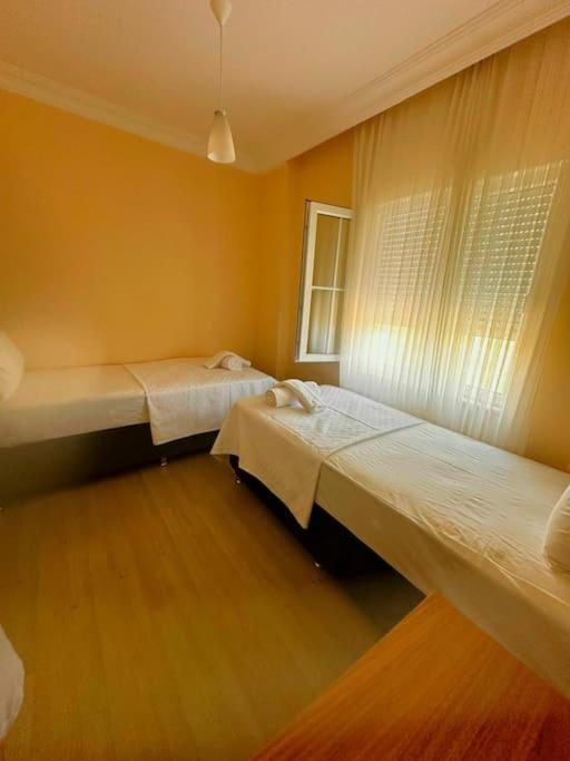 Three-Bedroom Villa photo 2