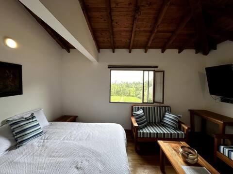 Superior Double Room photo 2