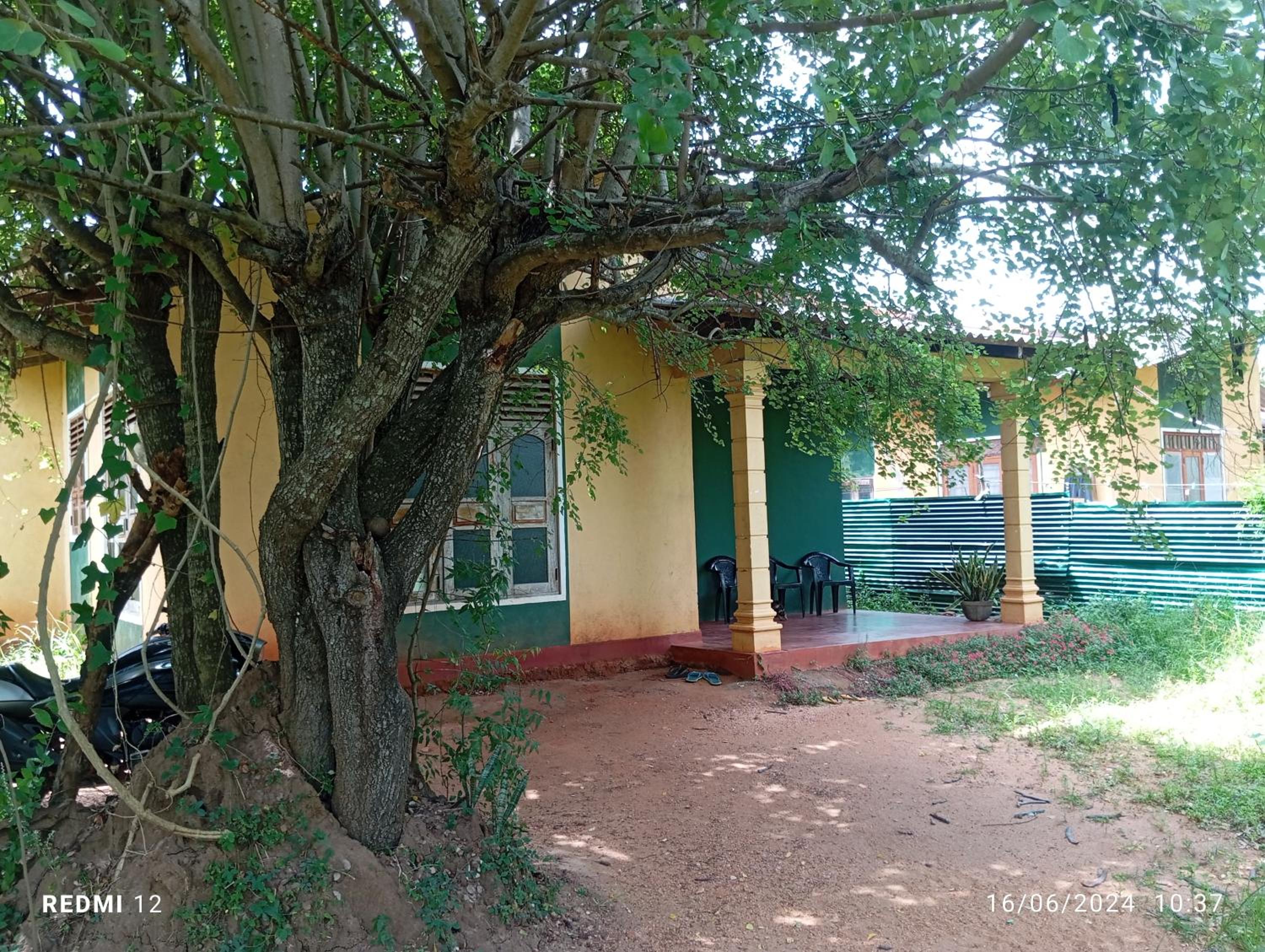 Two-Bedroom House photo 2