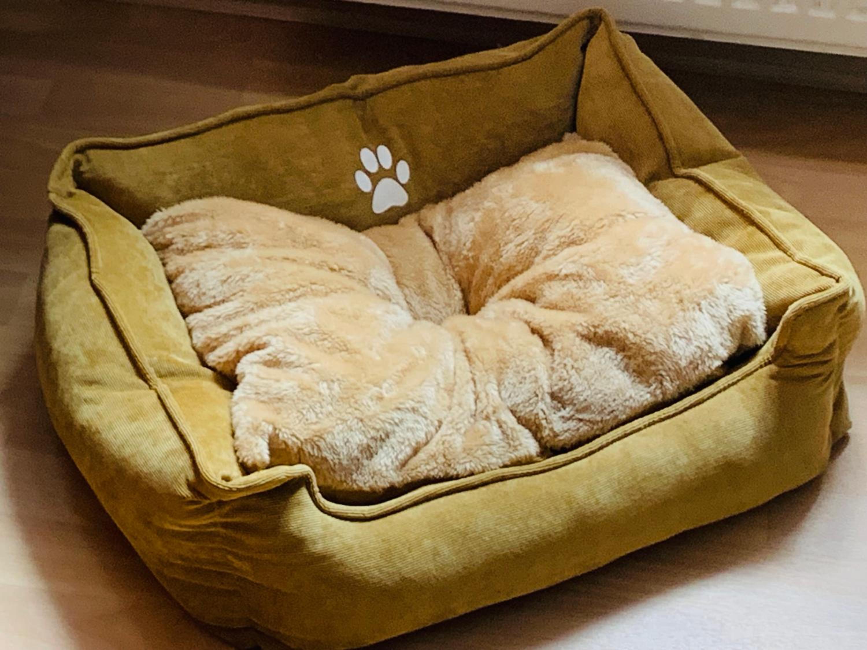 Ferienwohnung Juttchen, 사진 9