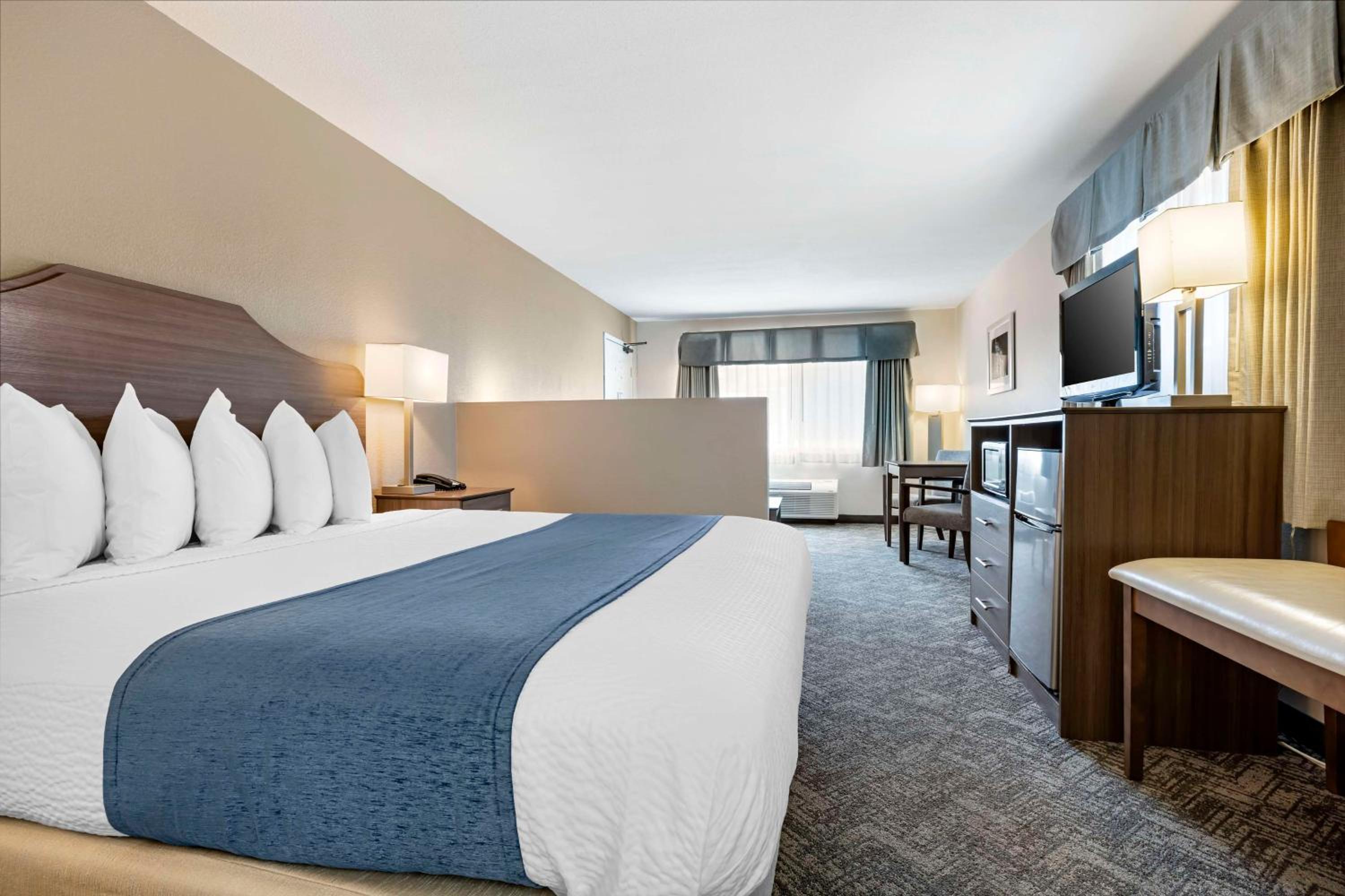 King Suite with Sofa Bed - Non-Smoking - Photo 4