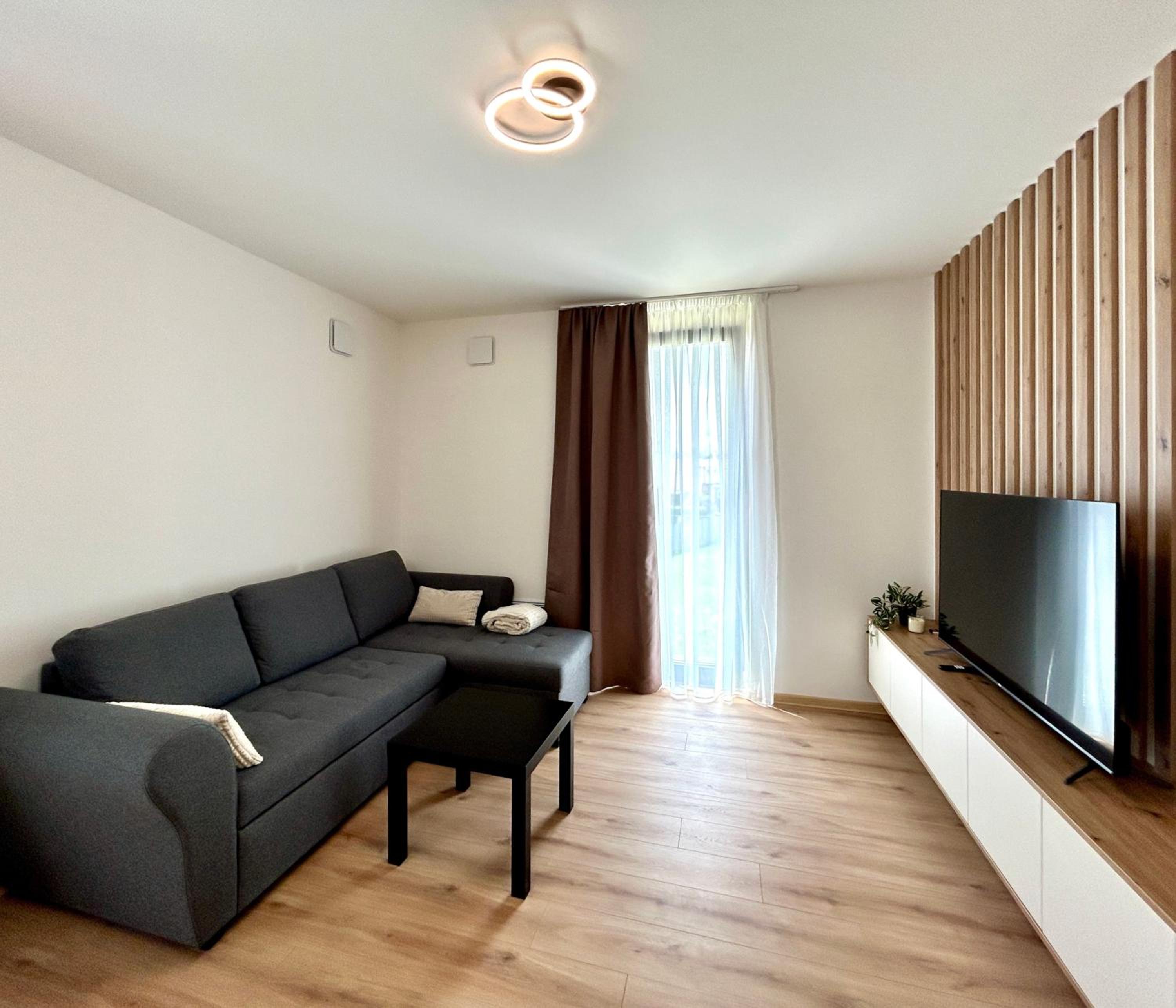 One-Bedroom Deluxe Apartment photo 2