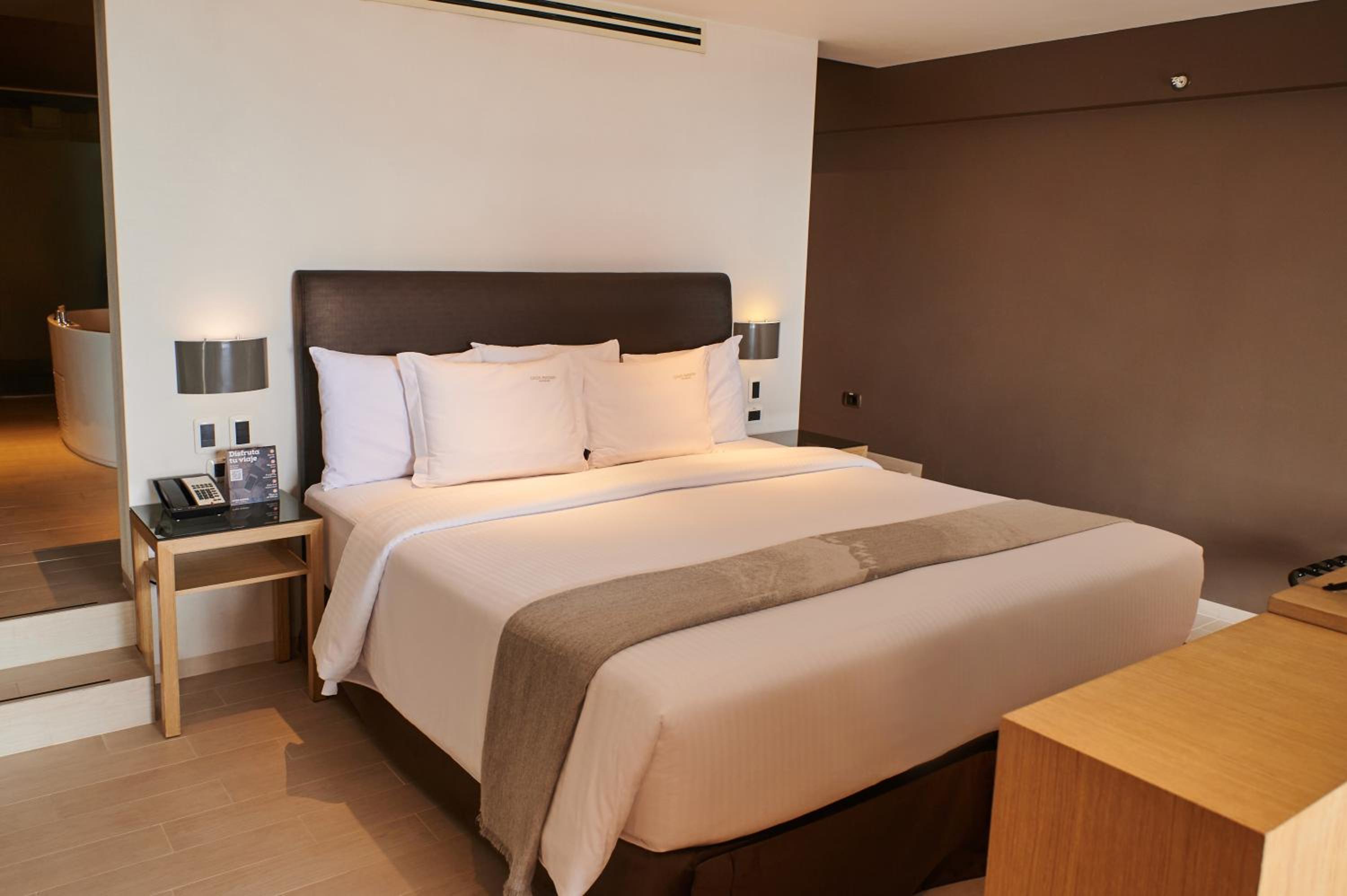 Deluxe King Suite - Photo 1