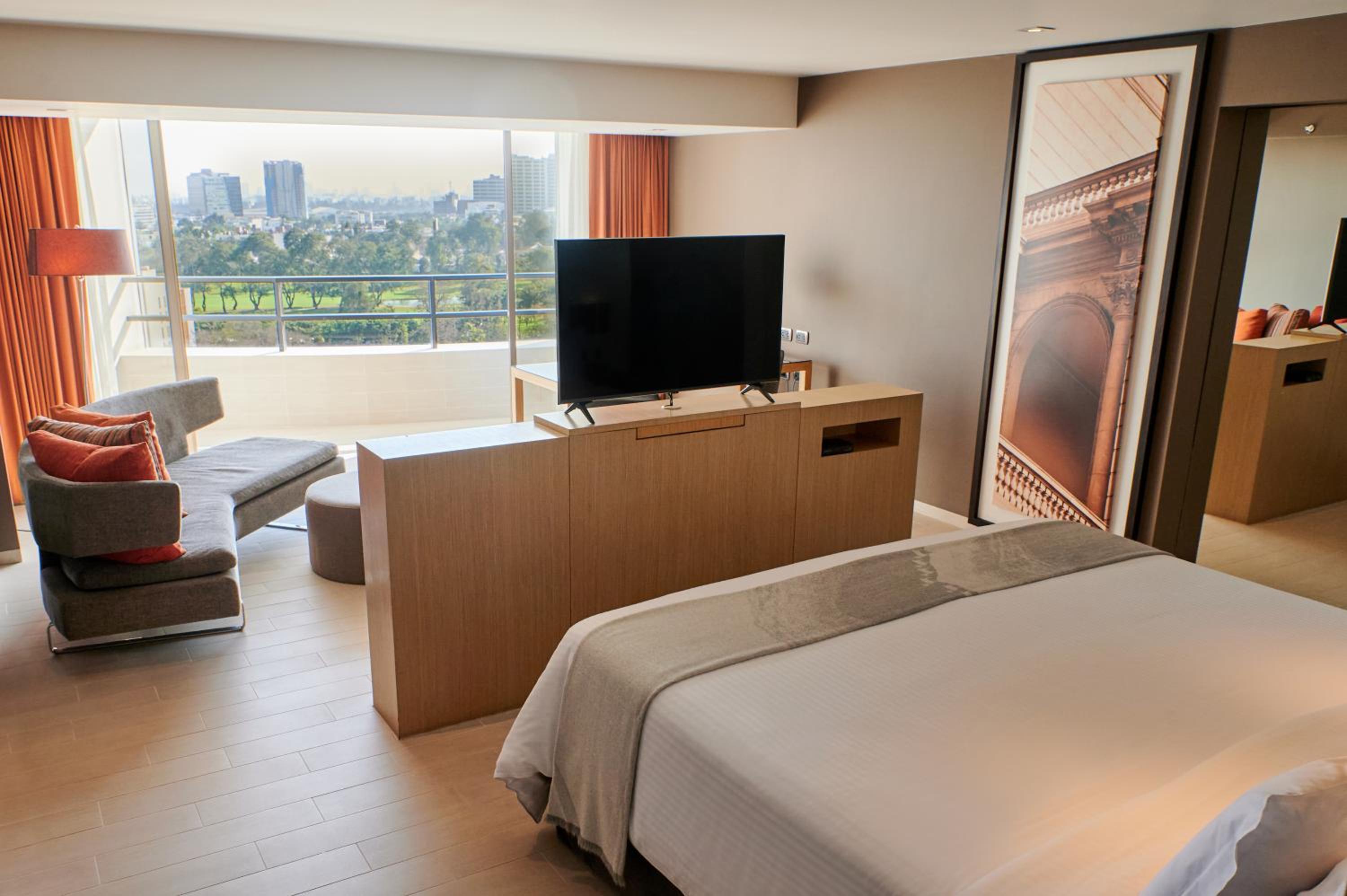 Deluxe King Suite - Photo 4