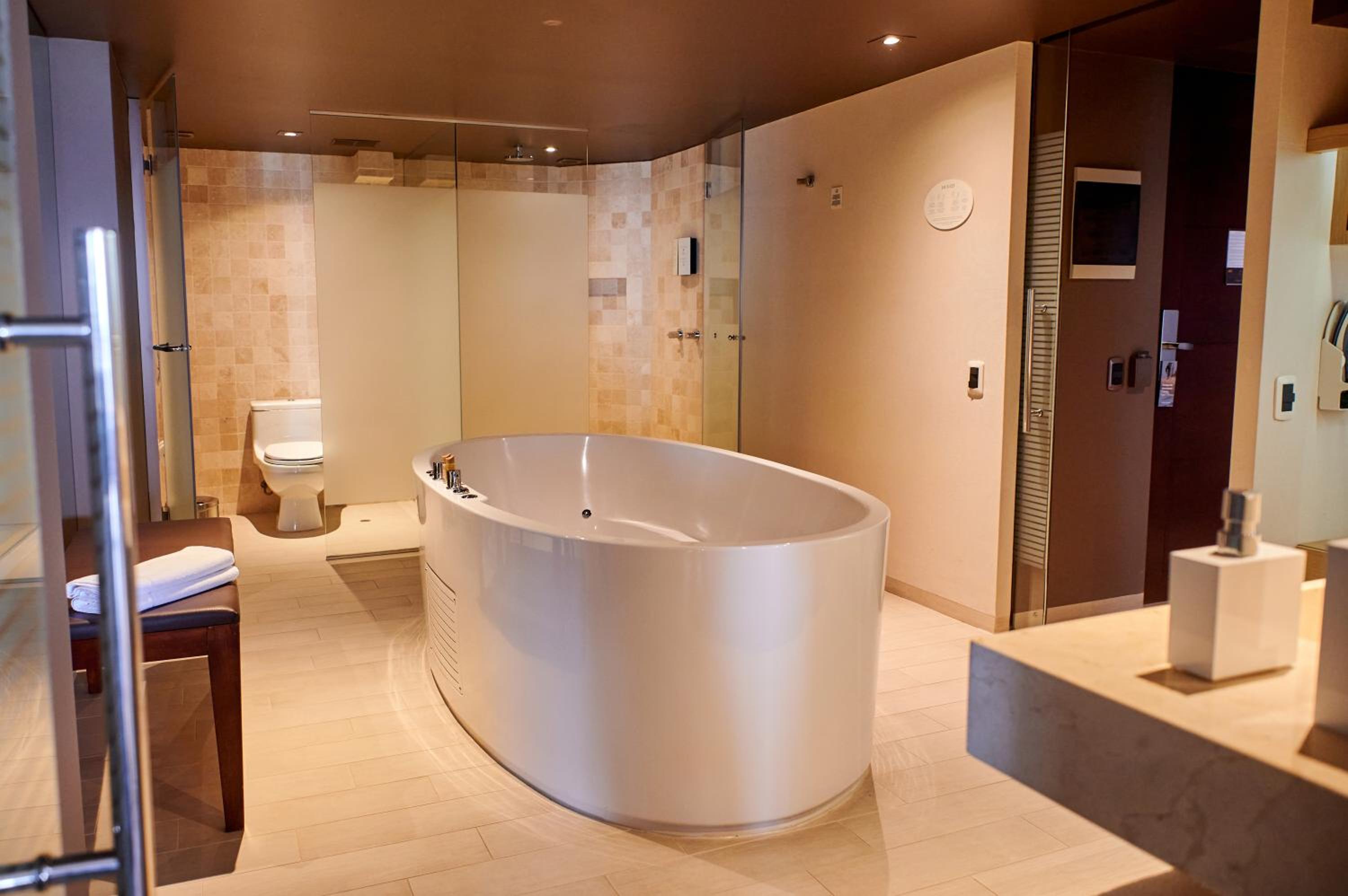 Deluxe King Suite - Photo 5