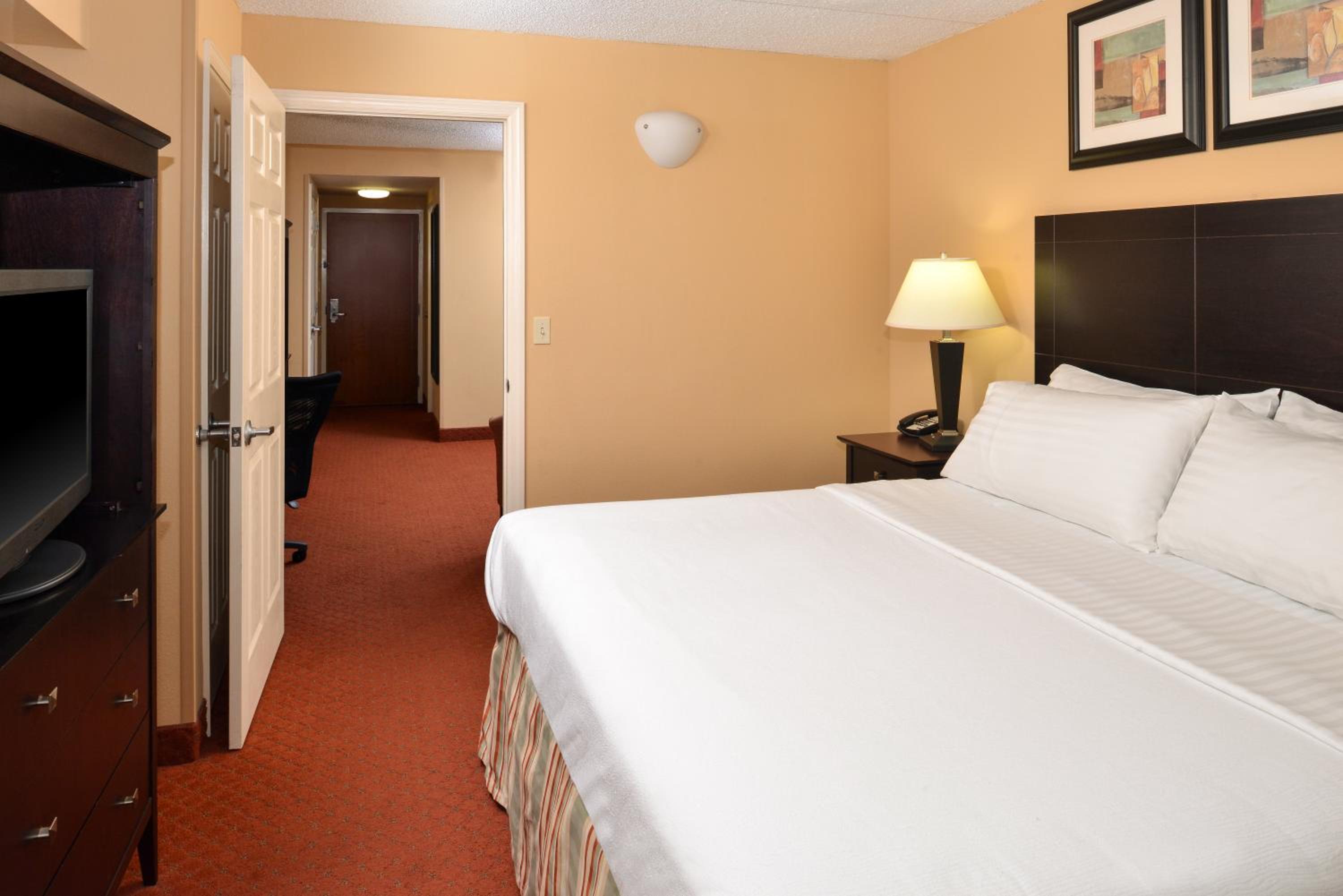 One-Bedroom King Suite with Sofa Bed - Photo 4