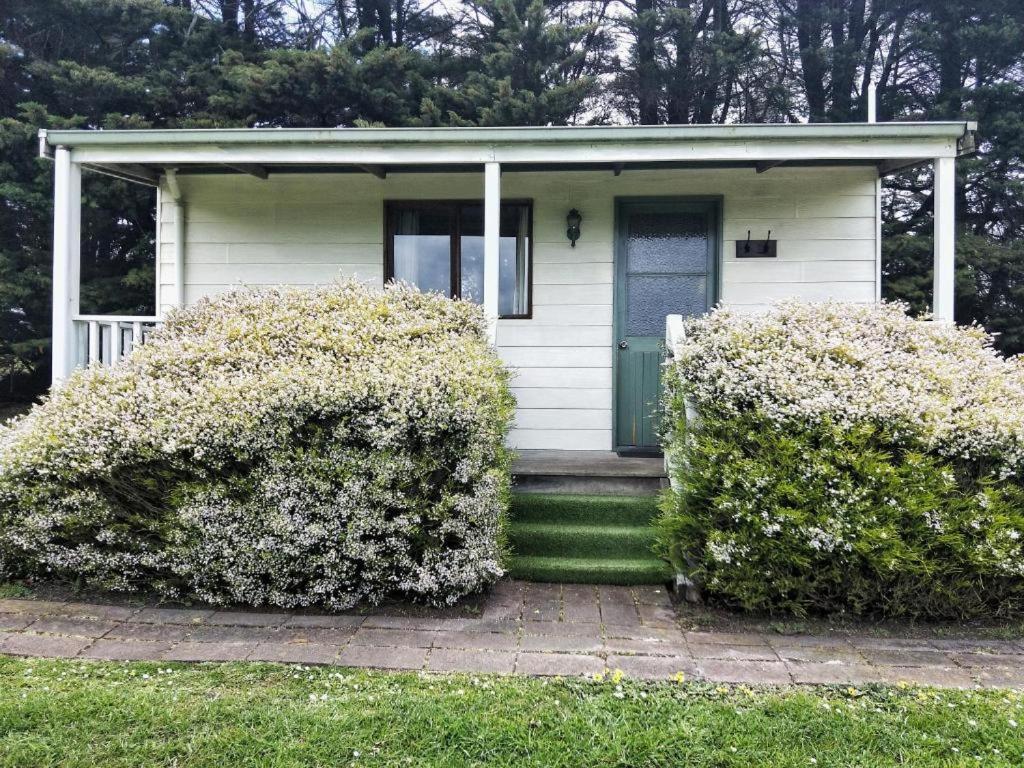 Bungalow with Garden View photo 2