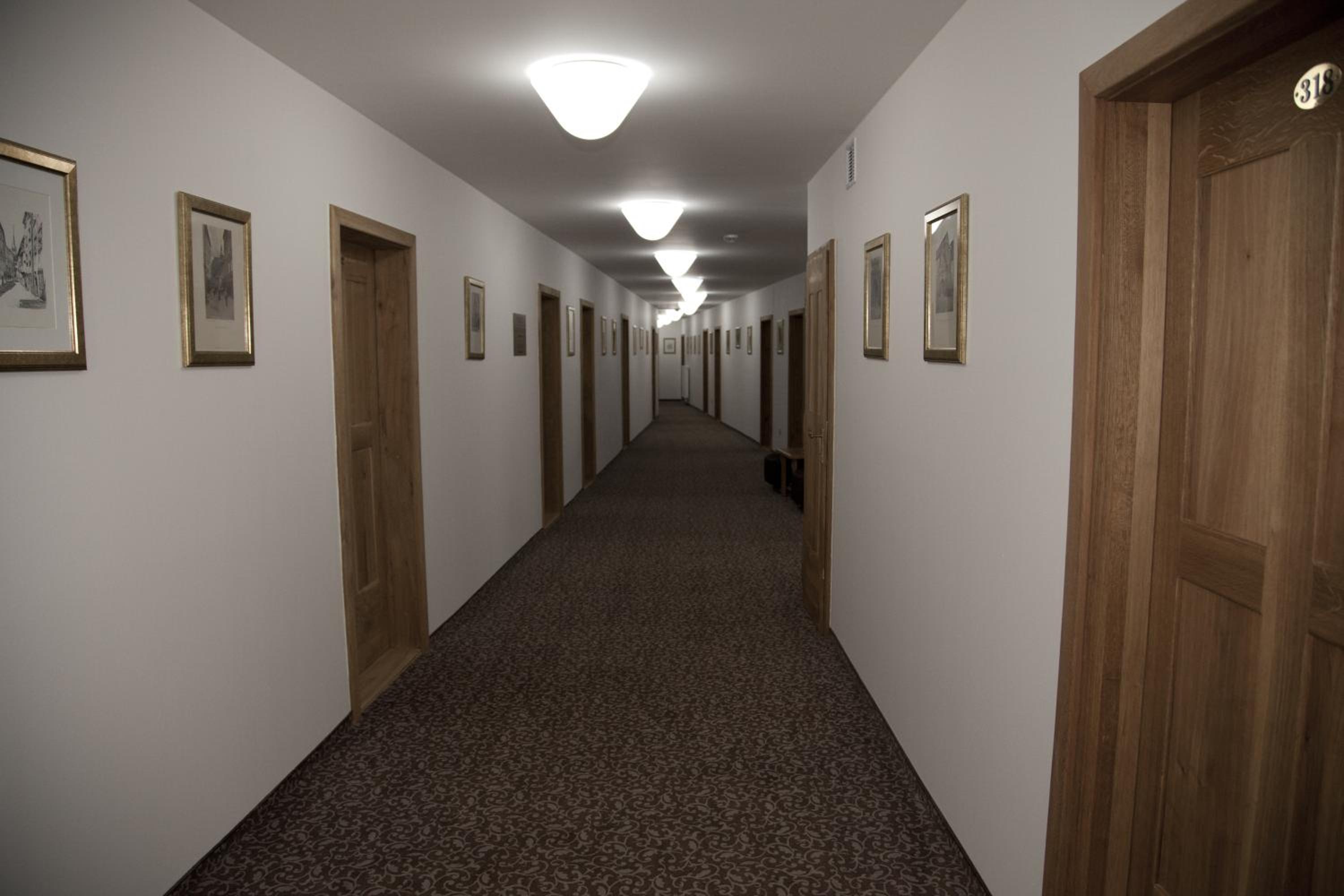 Single Room photo 3