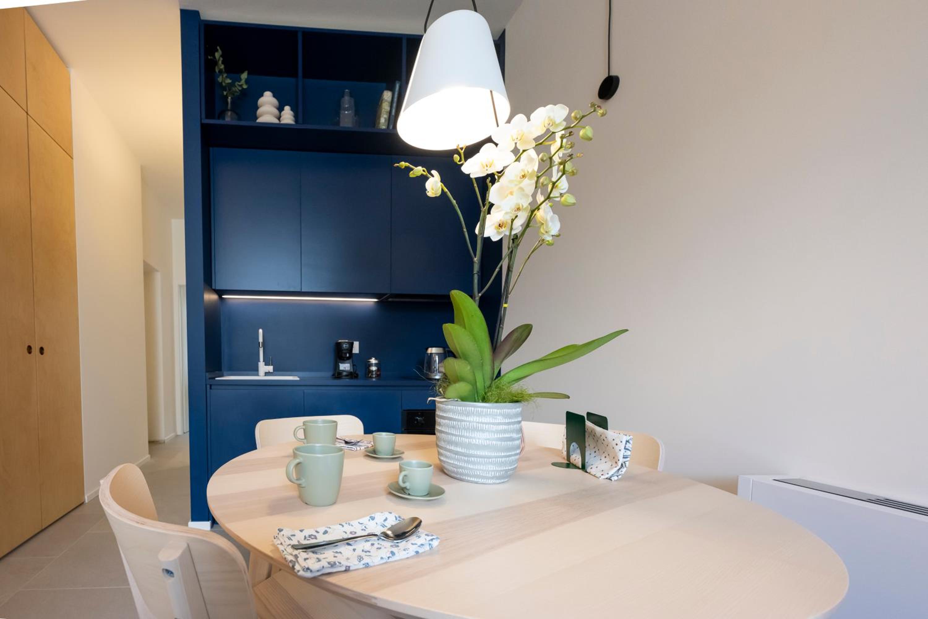 One-Bedroom Apartment with Terrace photo 3