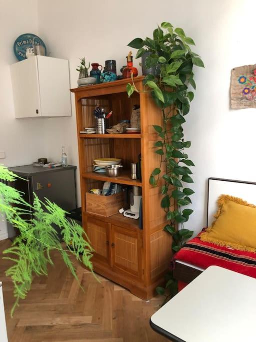One-Bedroom Apartment photo 3