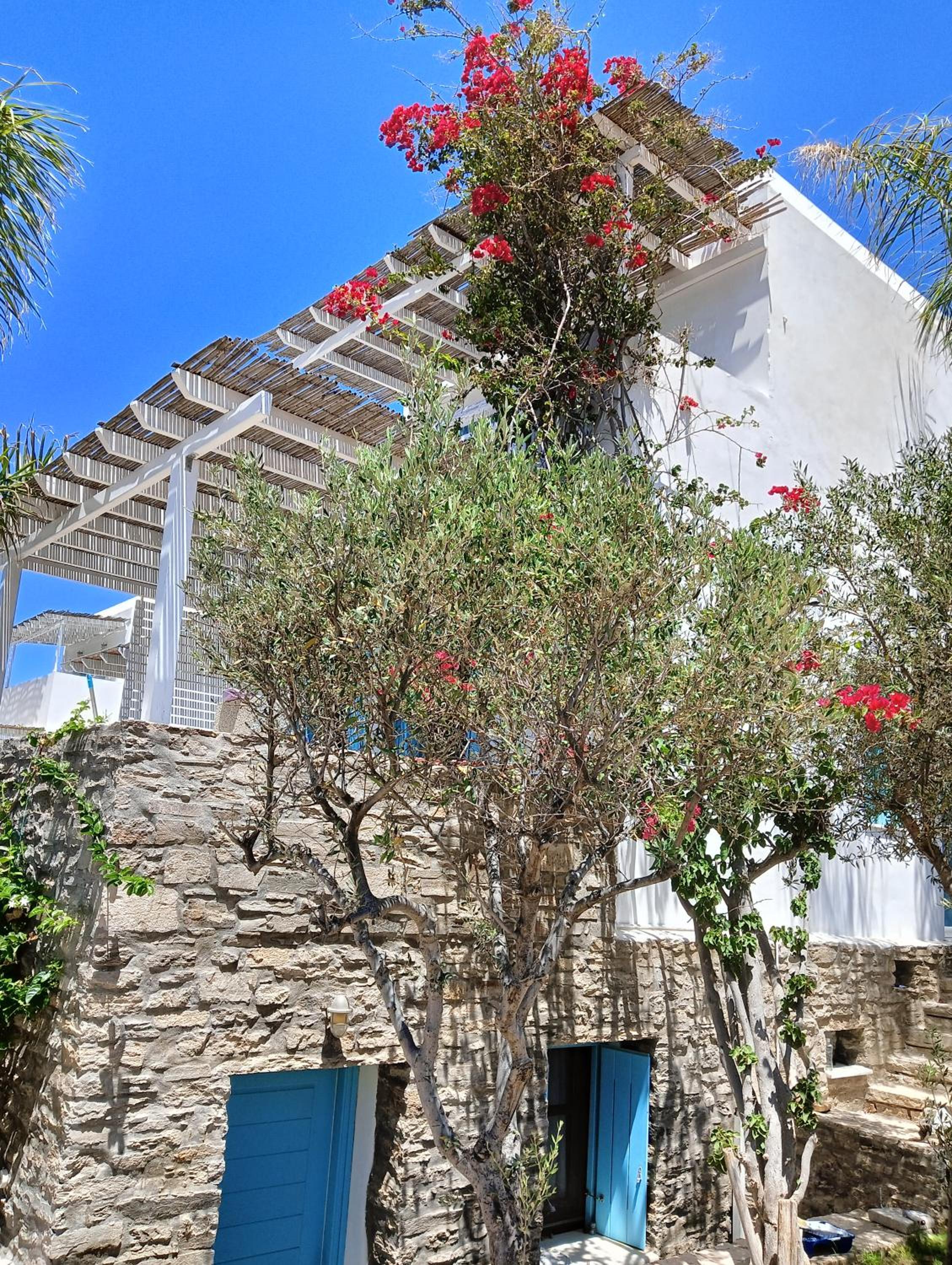 Villa With Sea View photo 3