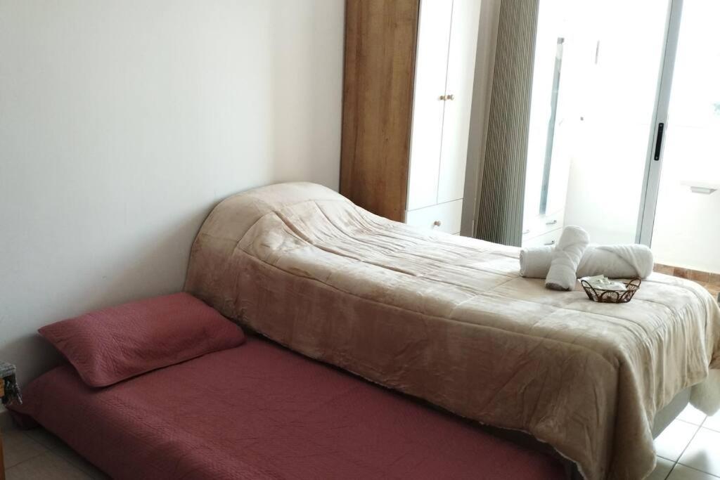 One-Bedroom Apartment photo 3