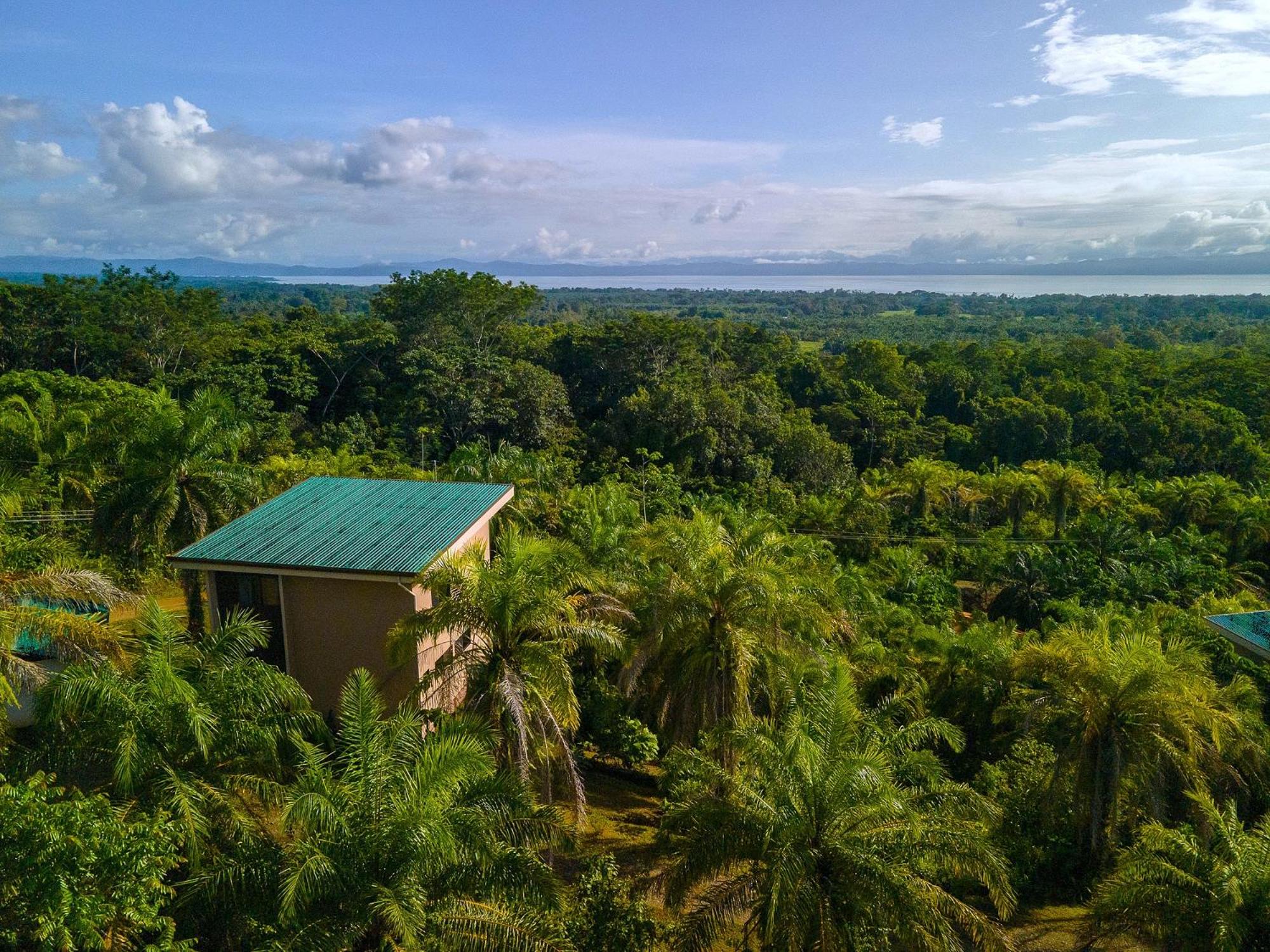 Villa With Sea View photo 2