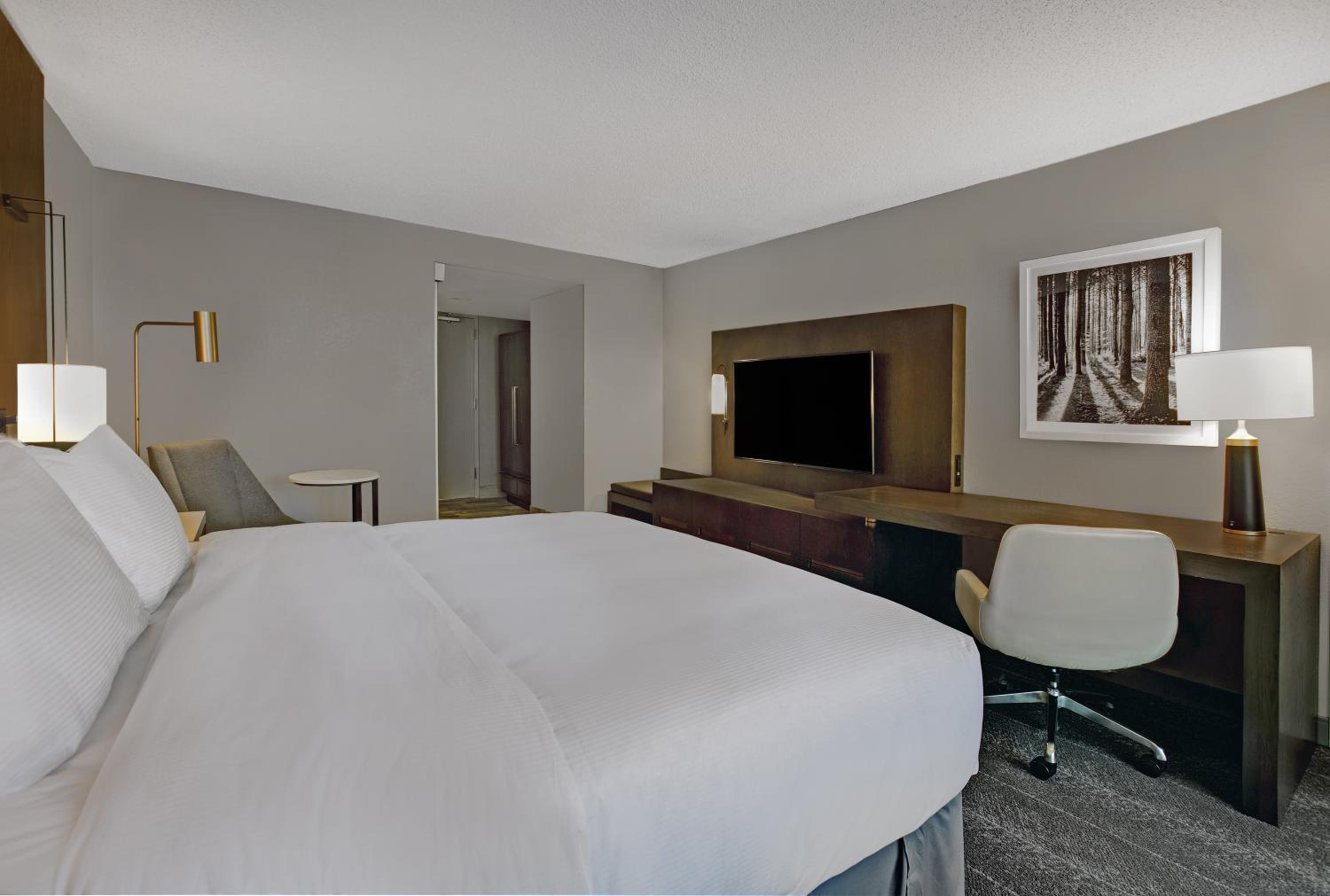 King Room with Roll-In Shower - Mobility Accessible photo 3