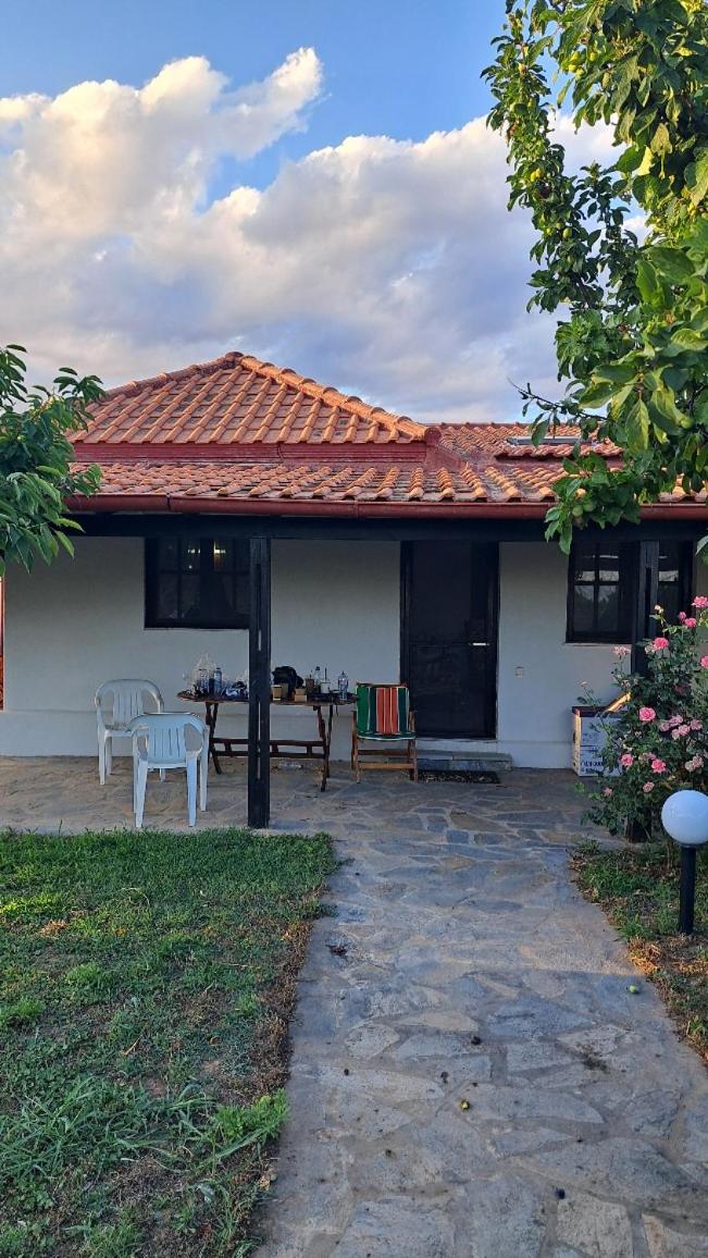 One-Bedroom House photo 2
