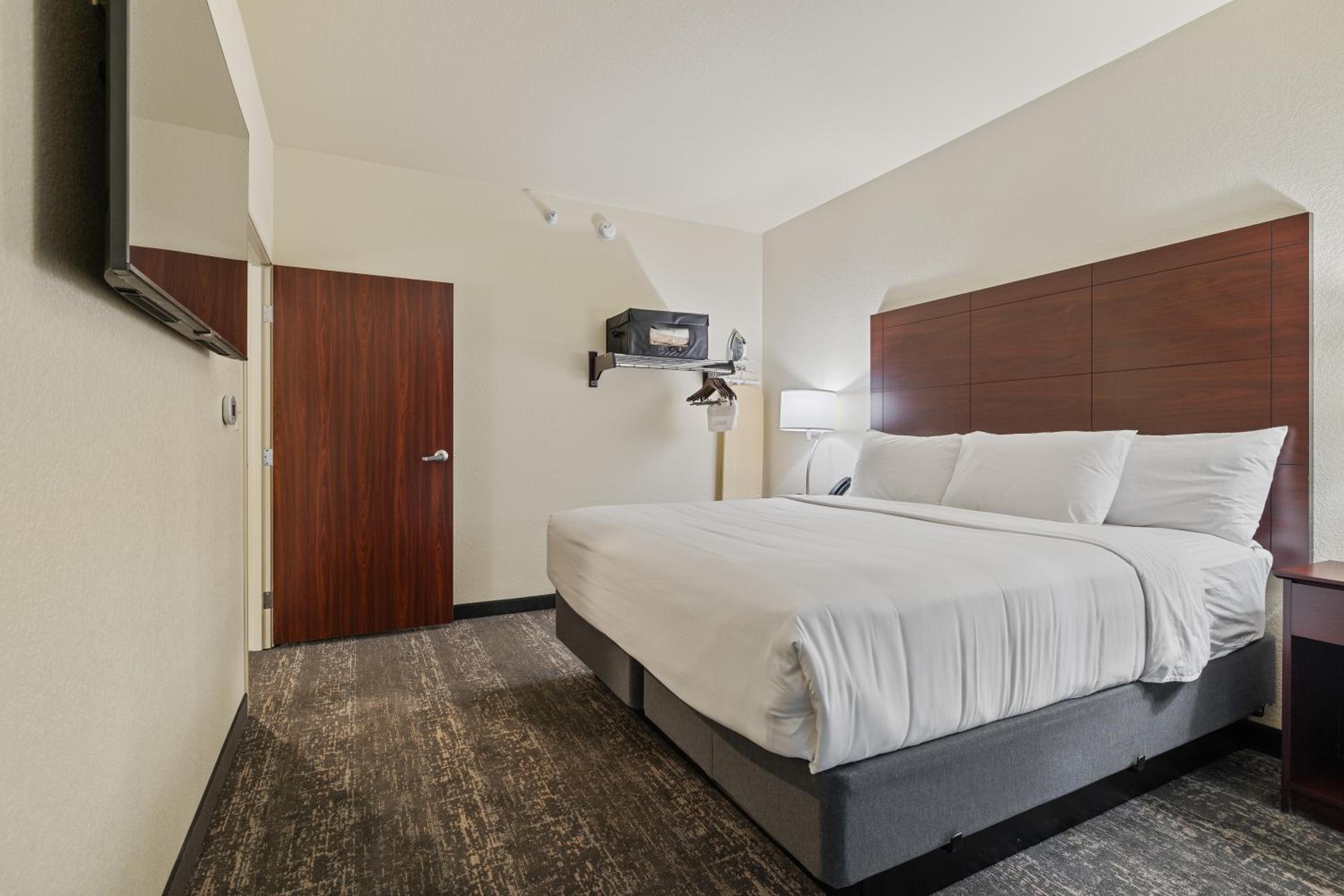 One-Bedroom Suite - Photo 11