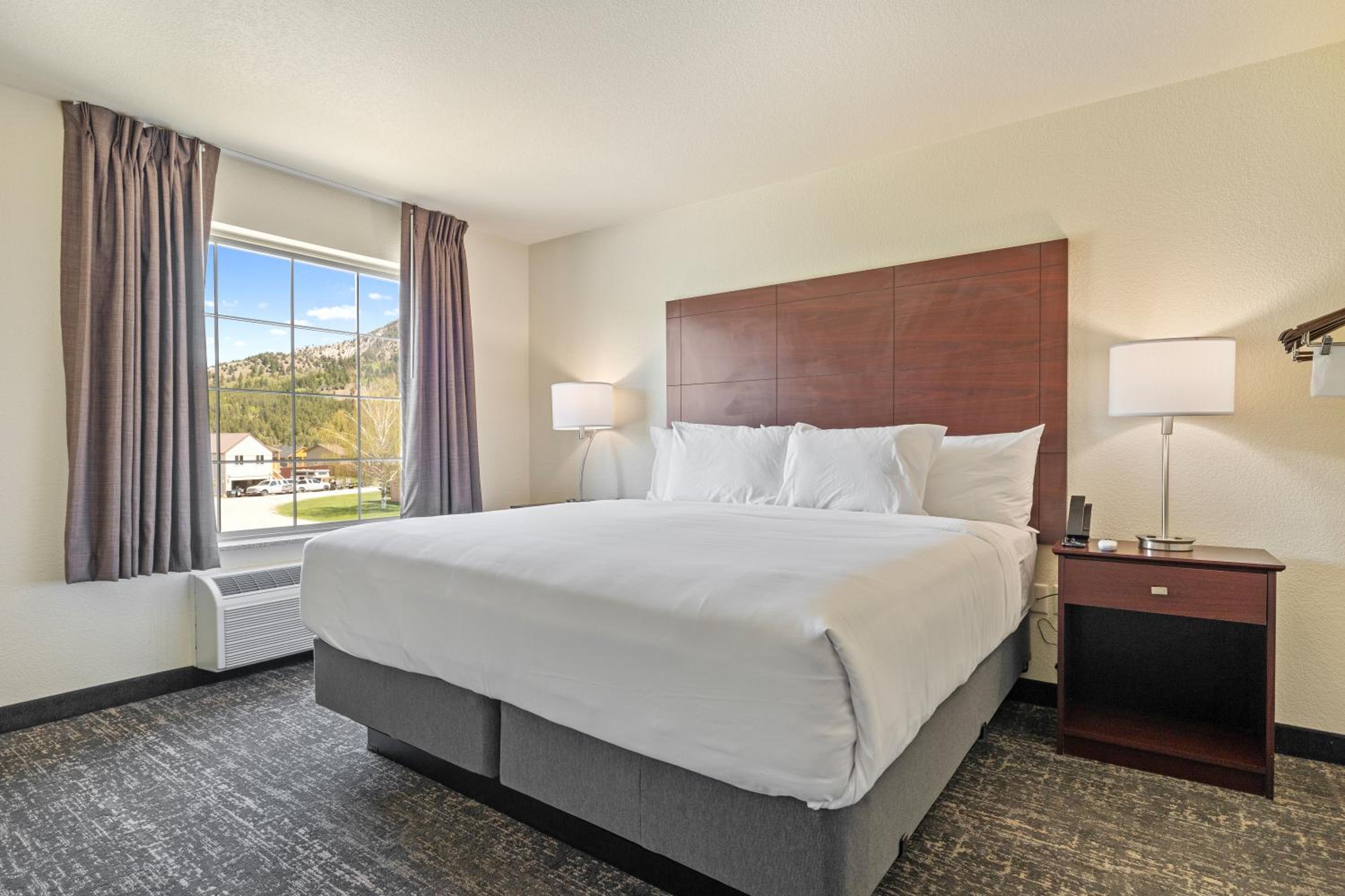 One-Bedroom Suite - Photo 8