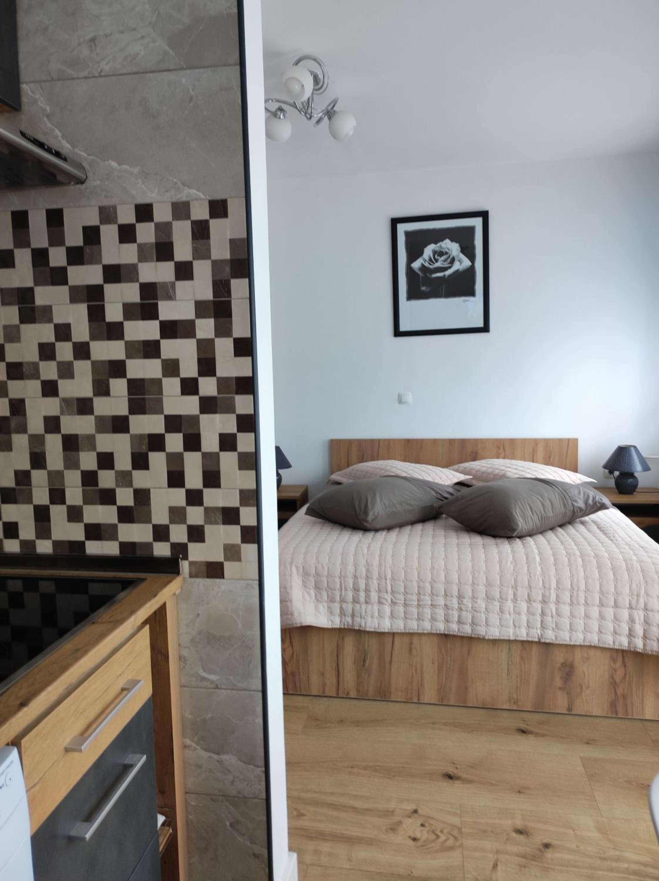 One-Bedroom Apartment photo 3