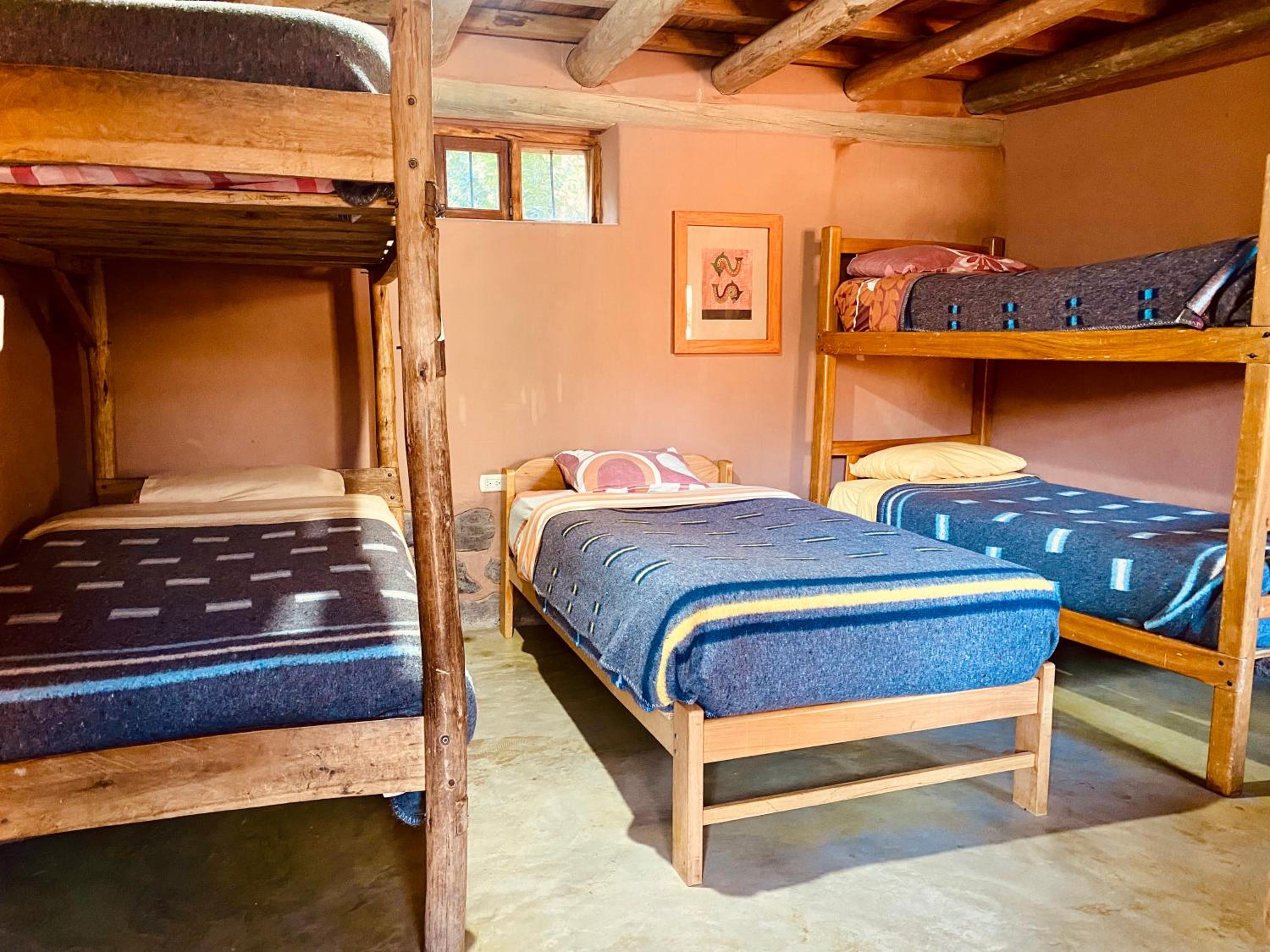 Mixed Dormitory Room photo 1