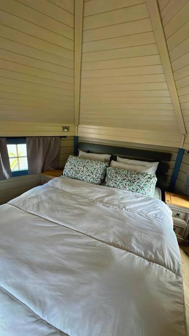 One-Bedroom House photo 2
