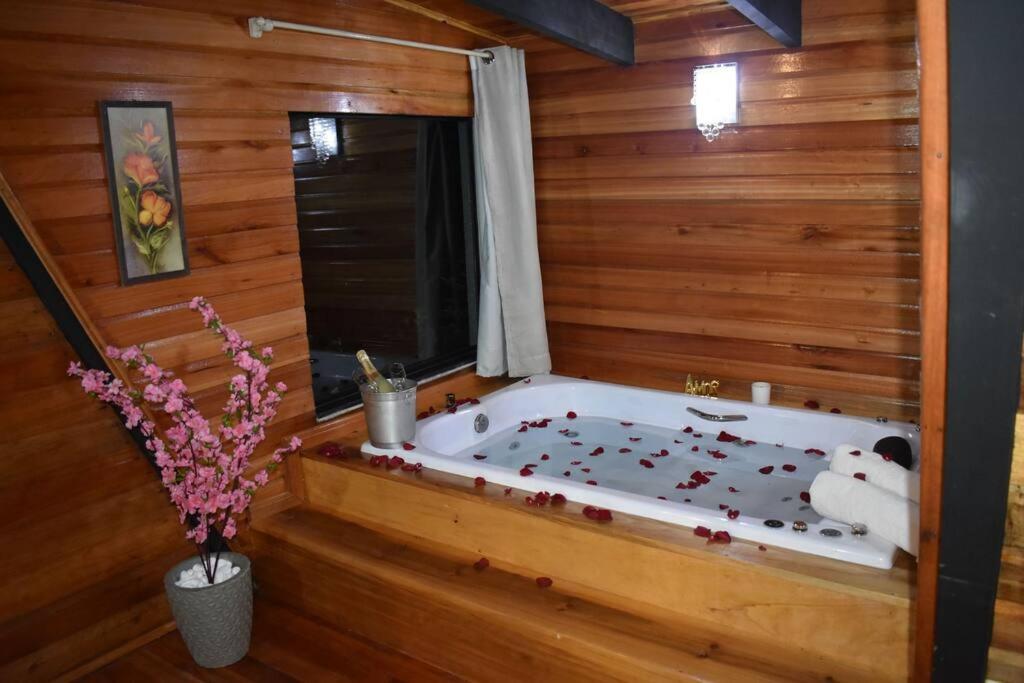 One-Bedroom Chalet photo 2