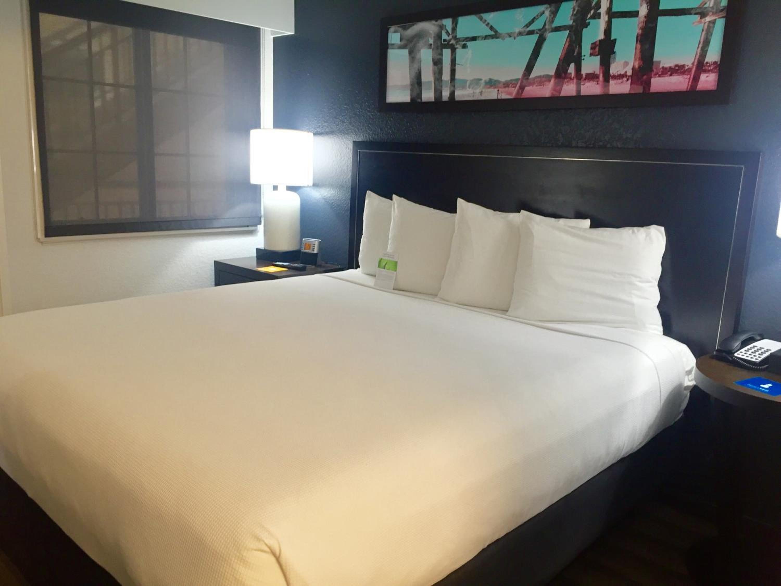 One-Bedroom King Suite - Photo 4
