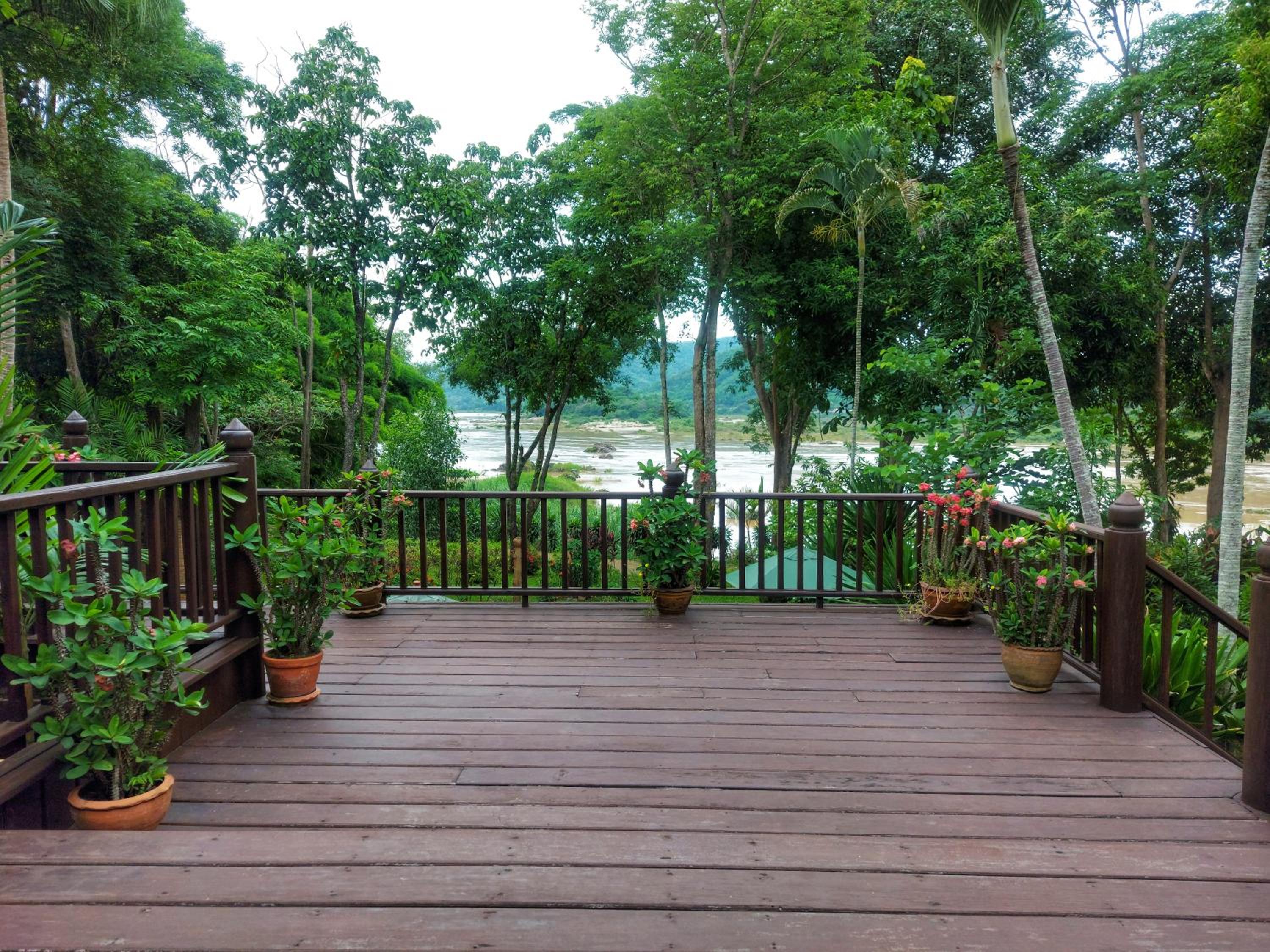 Thai House  - Photo 6