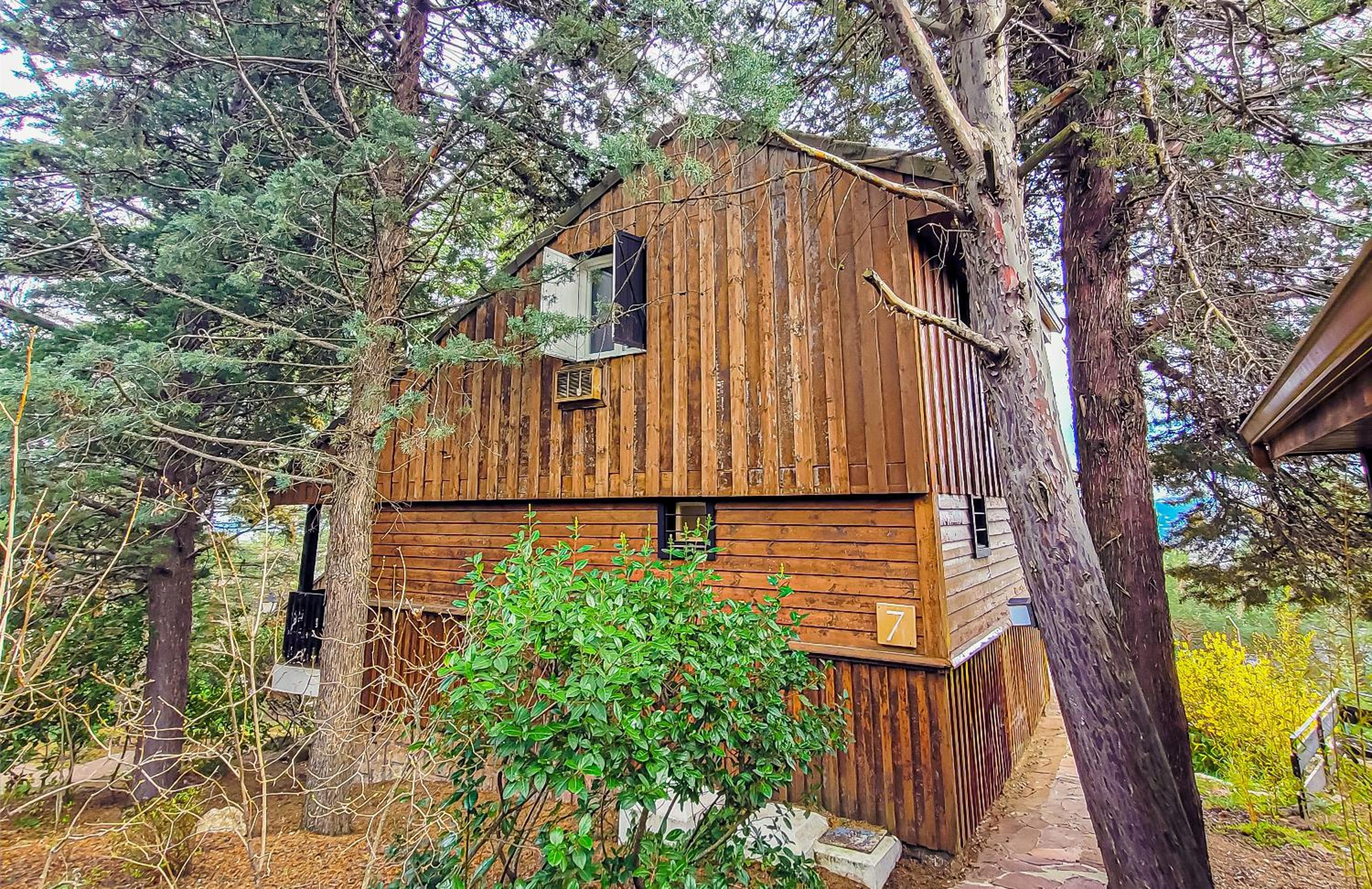 Deluxe Bungalow photo 2