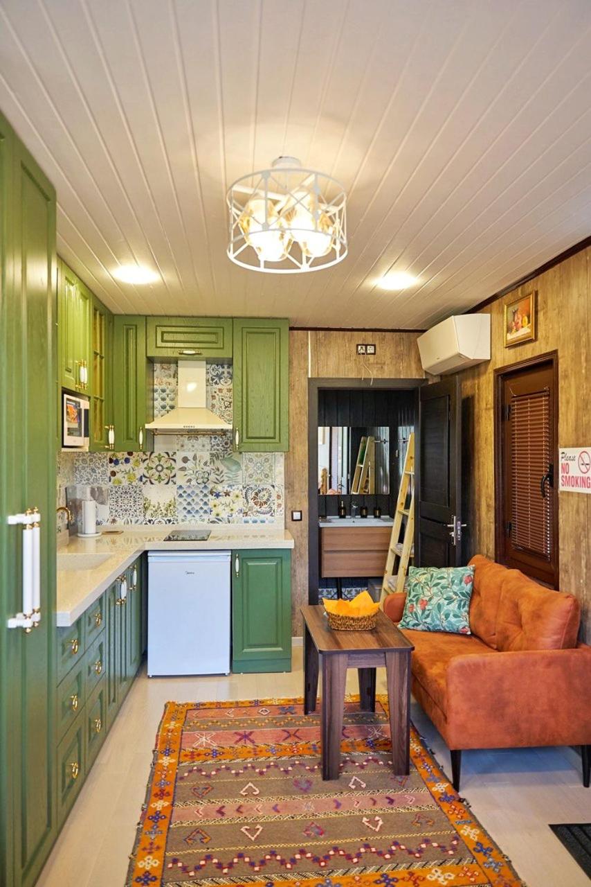 One-Bedroom House photo 2