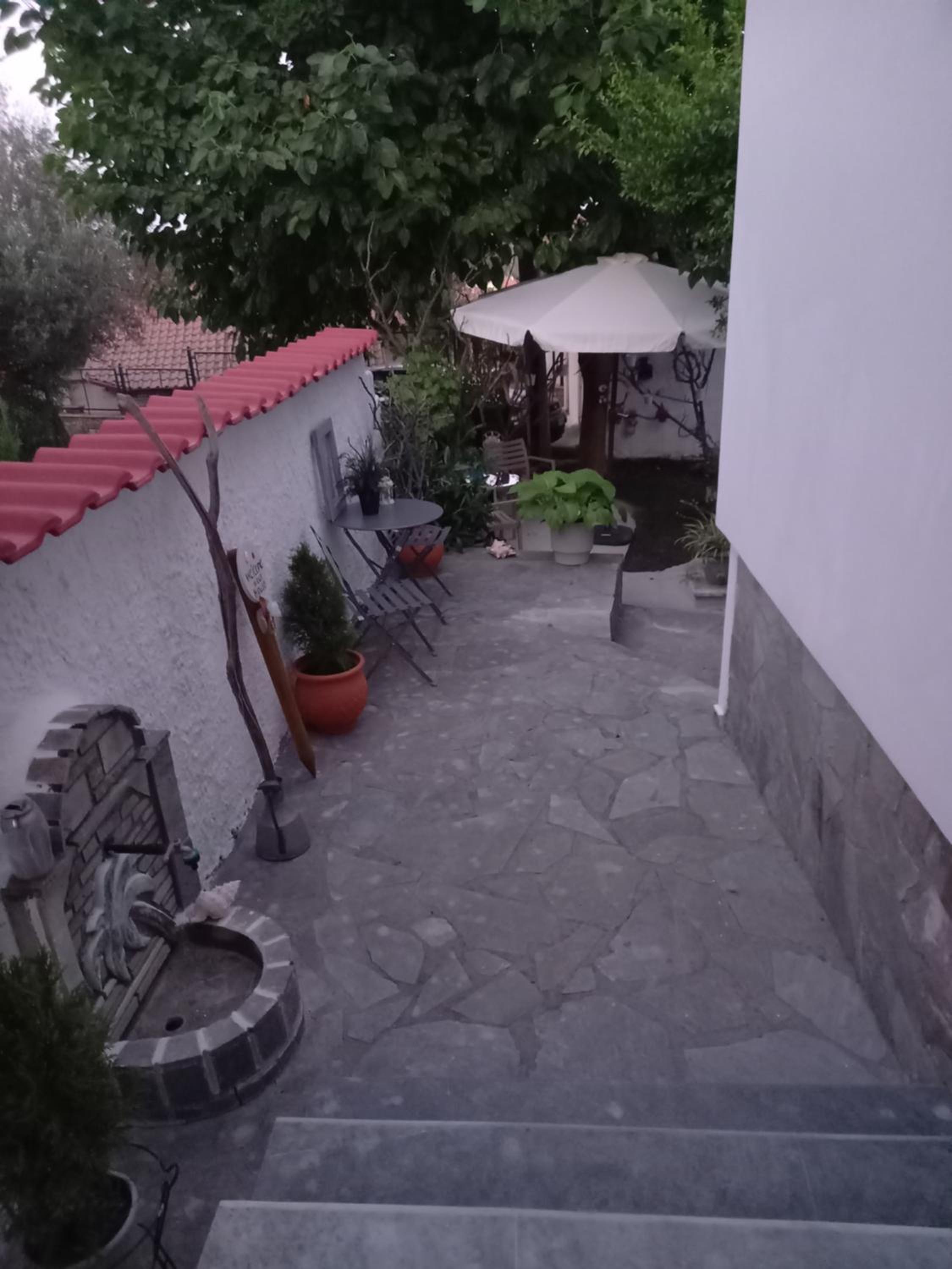 La Casa Di Elena photo 3