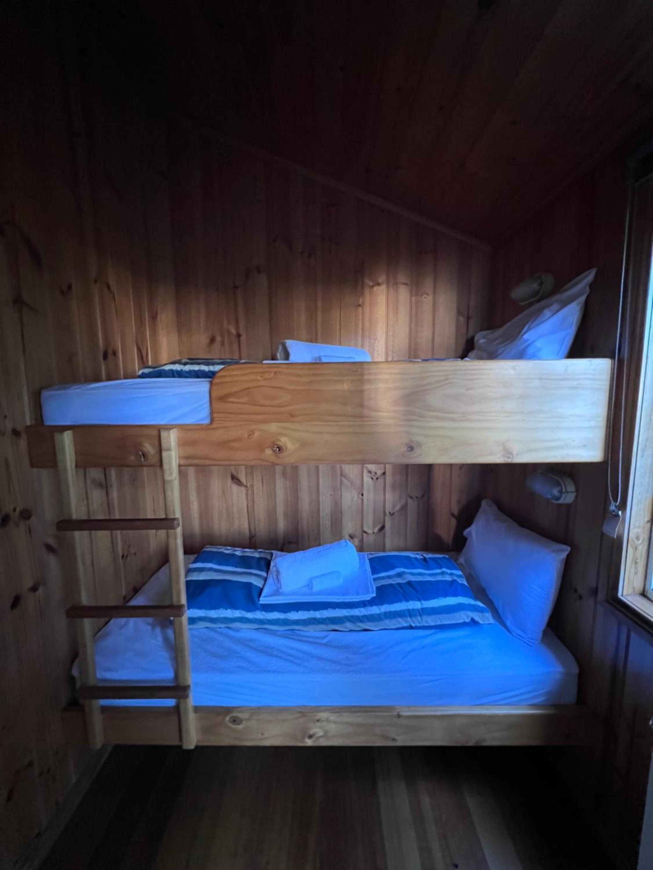 Standard Cabin - Disability Access photo 3
