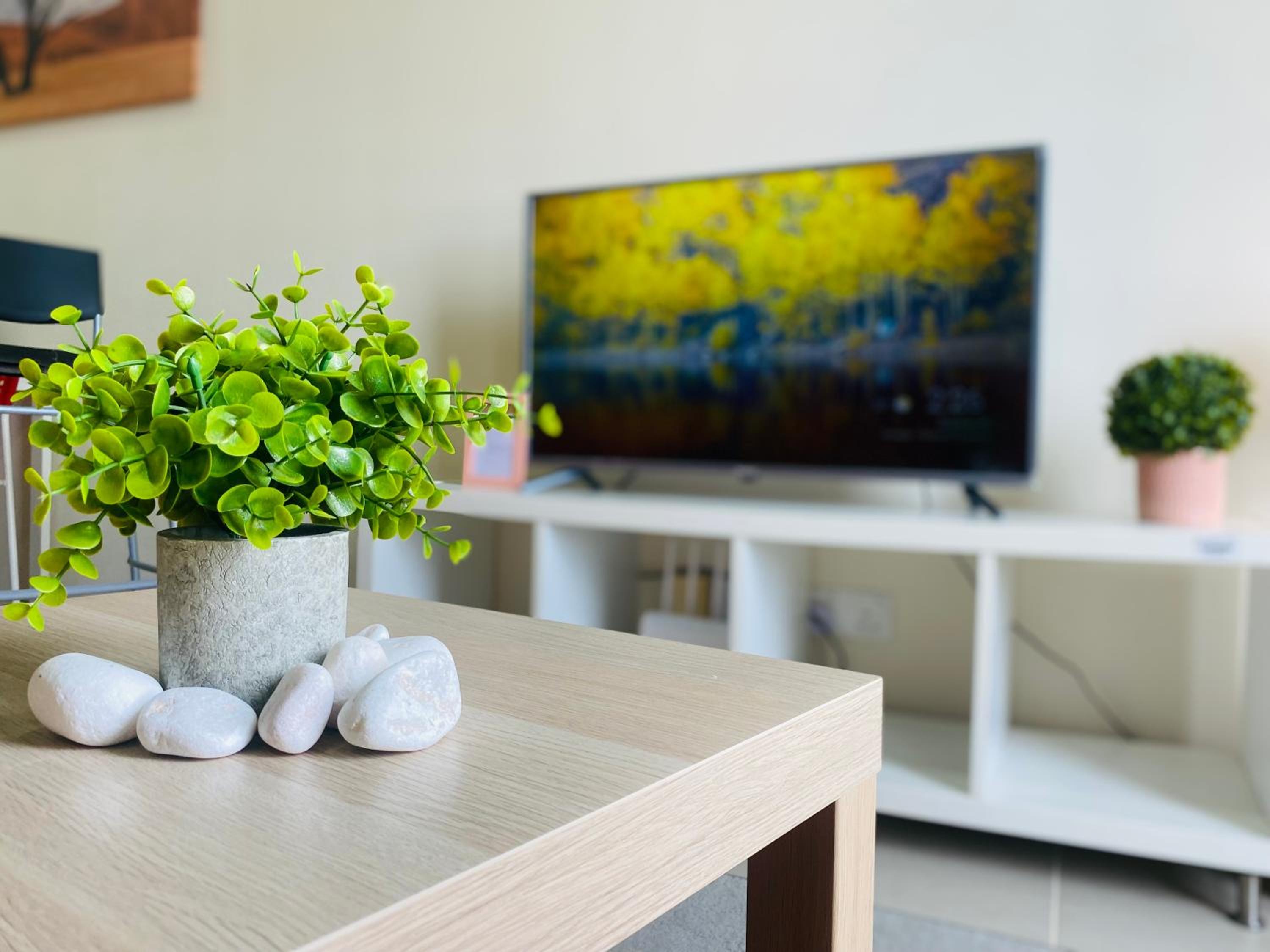 Studio Apartment photo 3