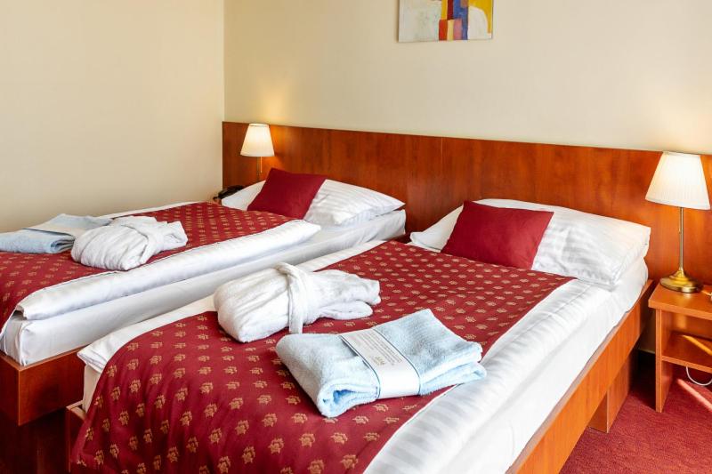 Double or Twin Room with Aquapark access photo 3