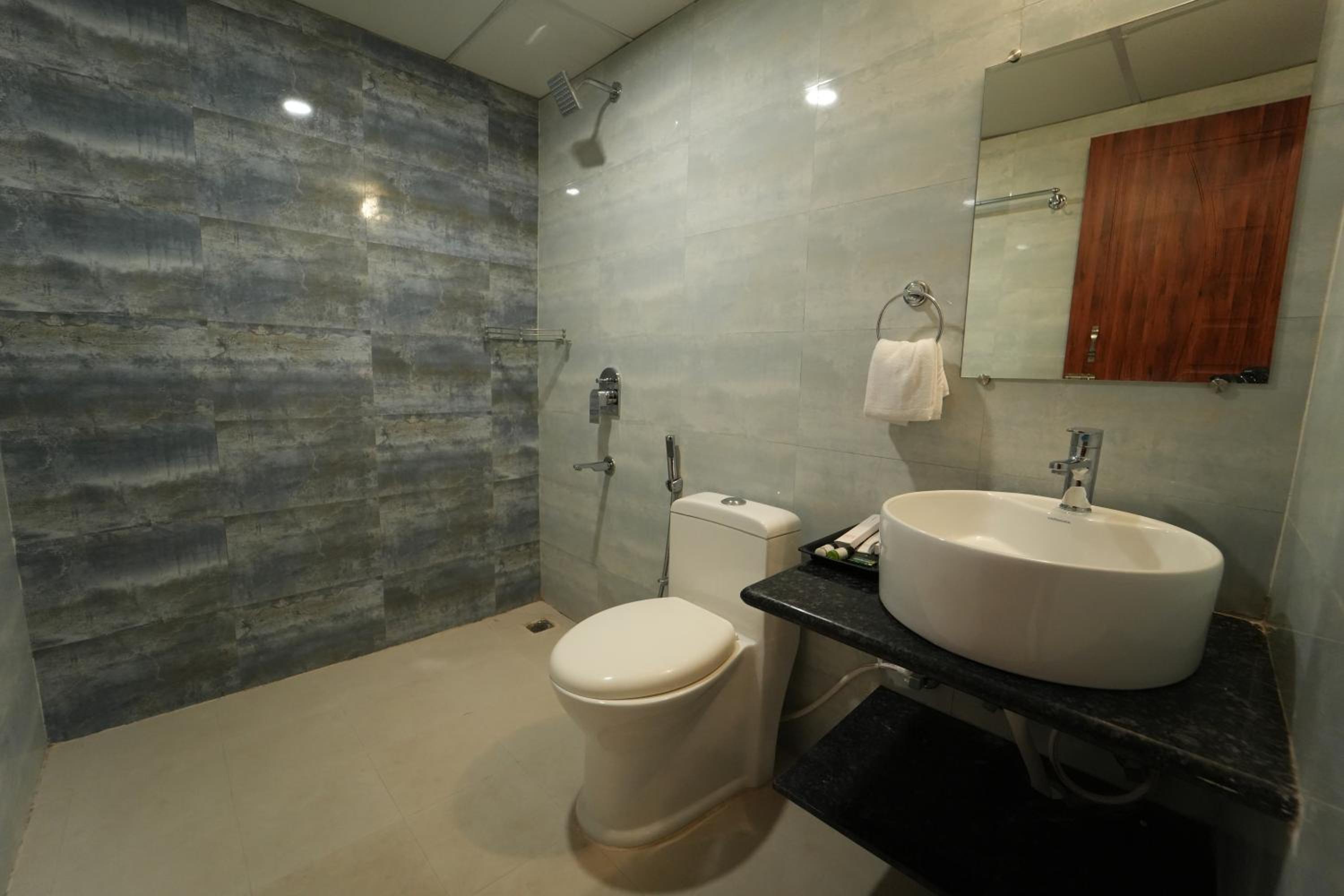 Deluxe Room - Photo 6