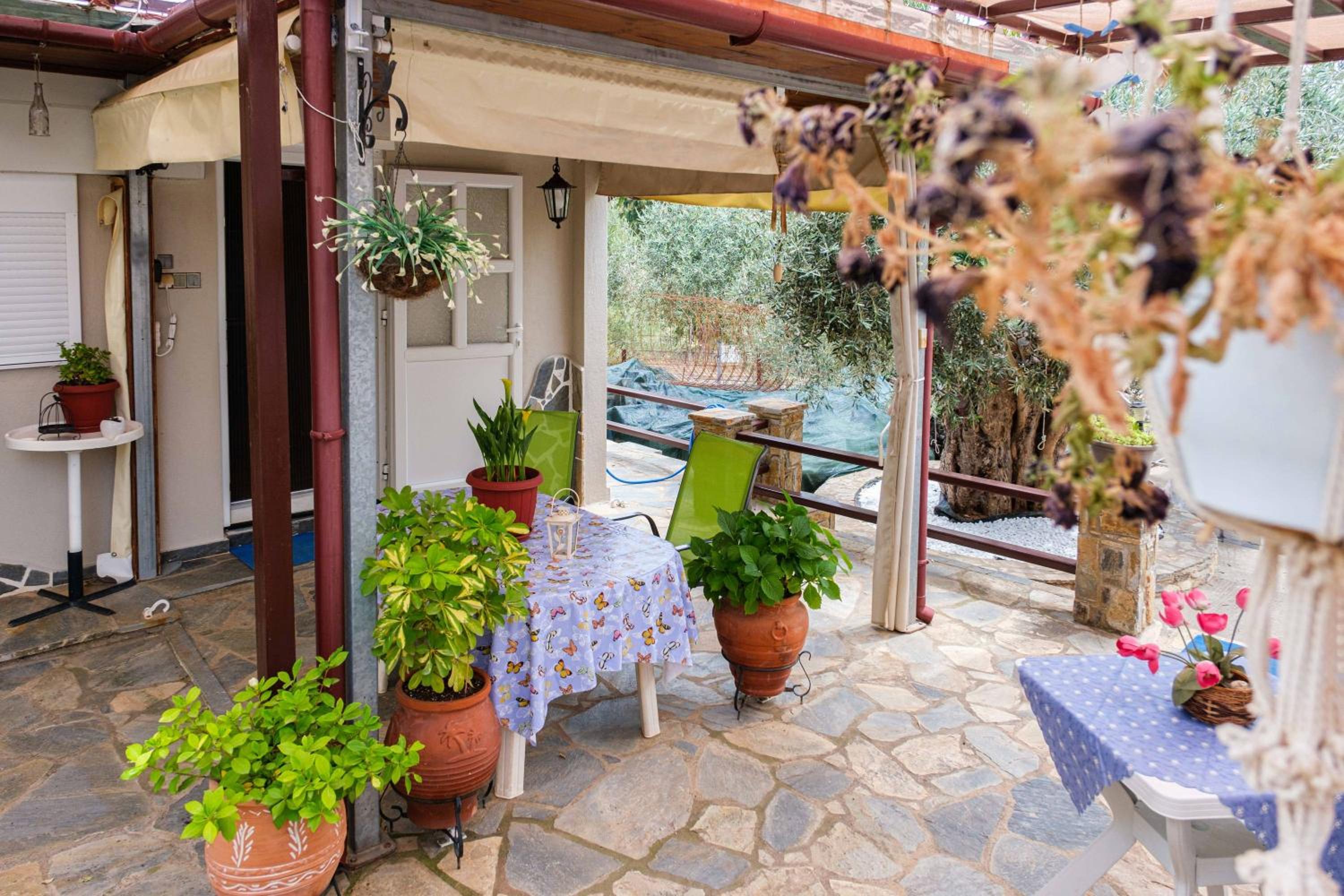 Studio with Terrace photo 3