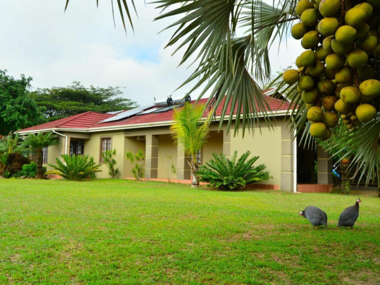 Basic Chalet photo 2